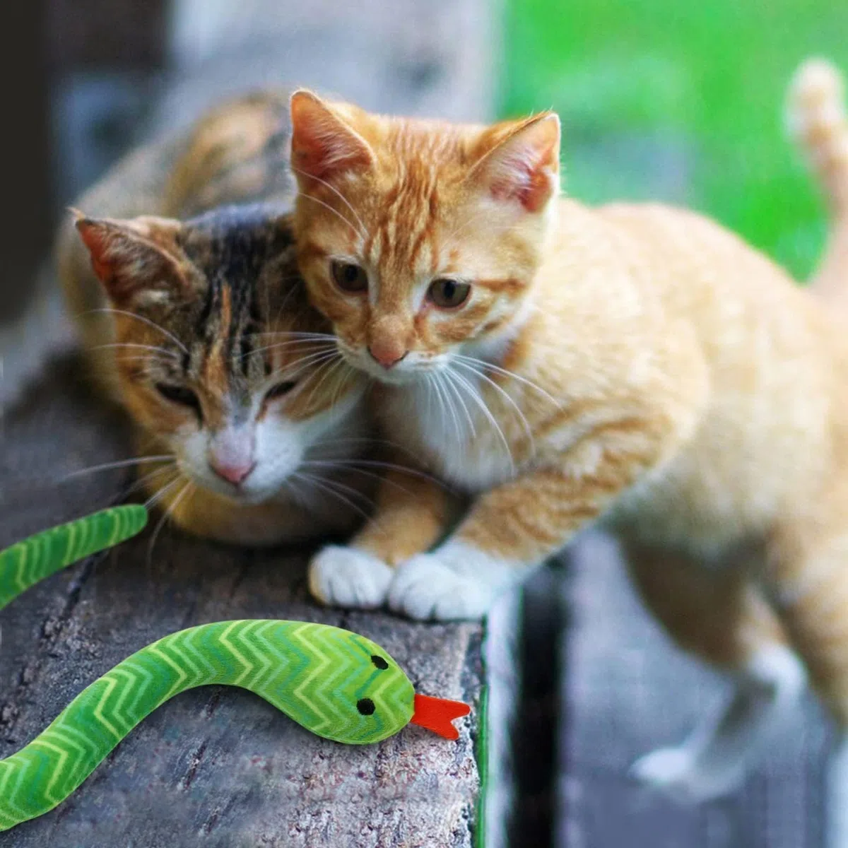 CiyvoLyeen Catnip Toys