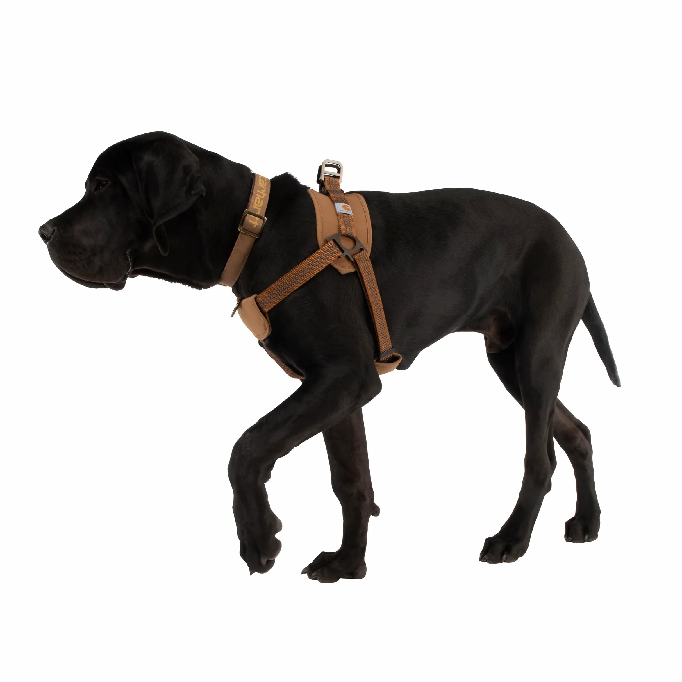 Carhartt Arnés de Entrenamiento para Perros de Nailon, Carhartt Brown, S