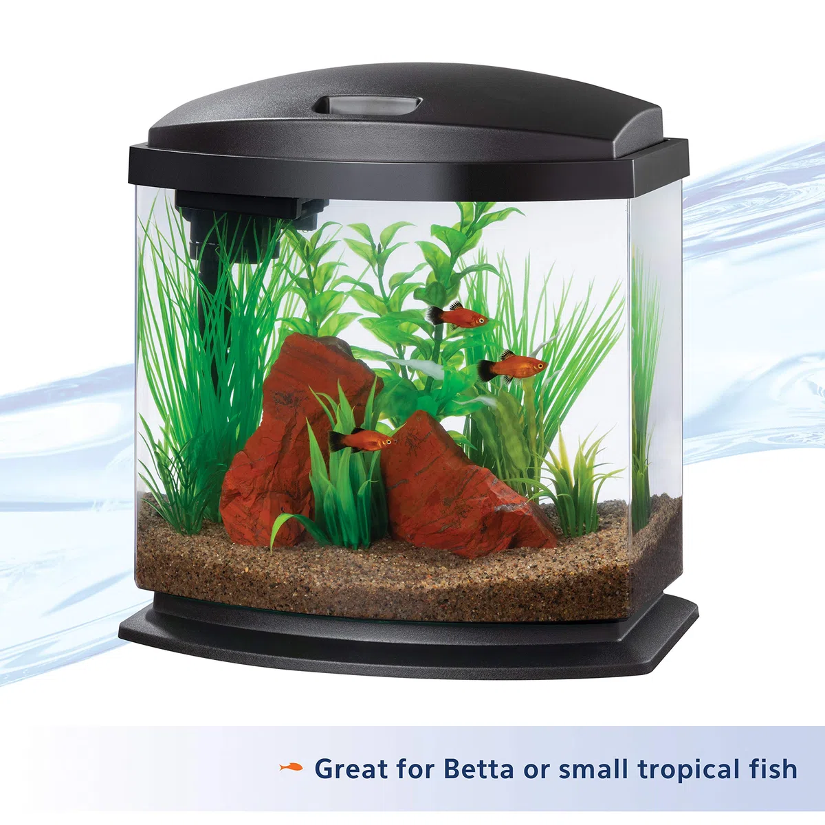 Aqueon Kit de Acuario LED MiniBow con tecnología SmartClean, Negro, 2.5 galones