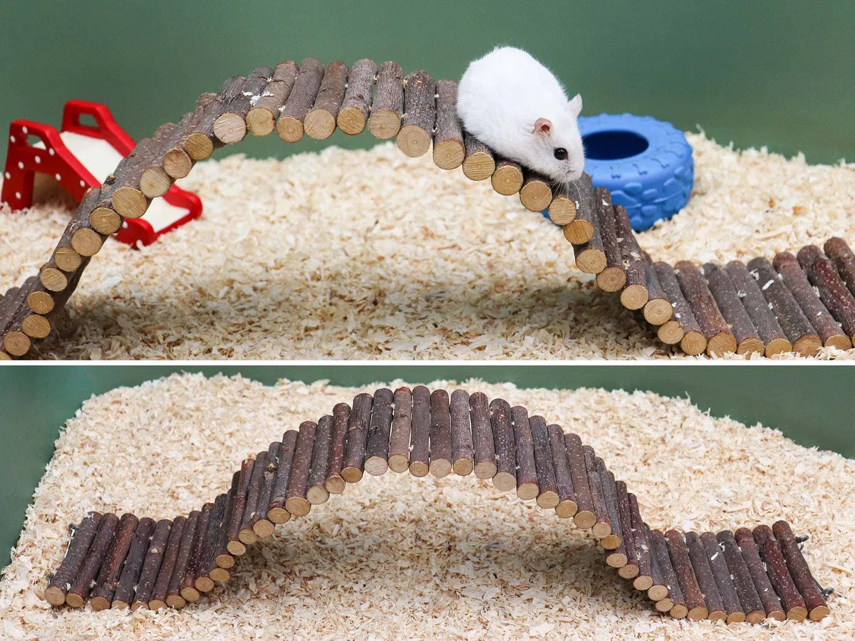 Puente de escalera de rata, juguete de escalera de madera para hámster, accesorios de jaula de animales pequeños para pájaros, loros, hámster, rata, deslizador de azúcar, cangrejo ermitaño, chinchilla