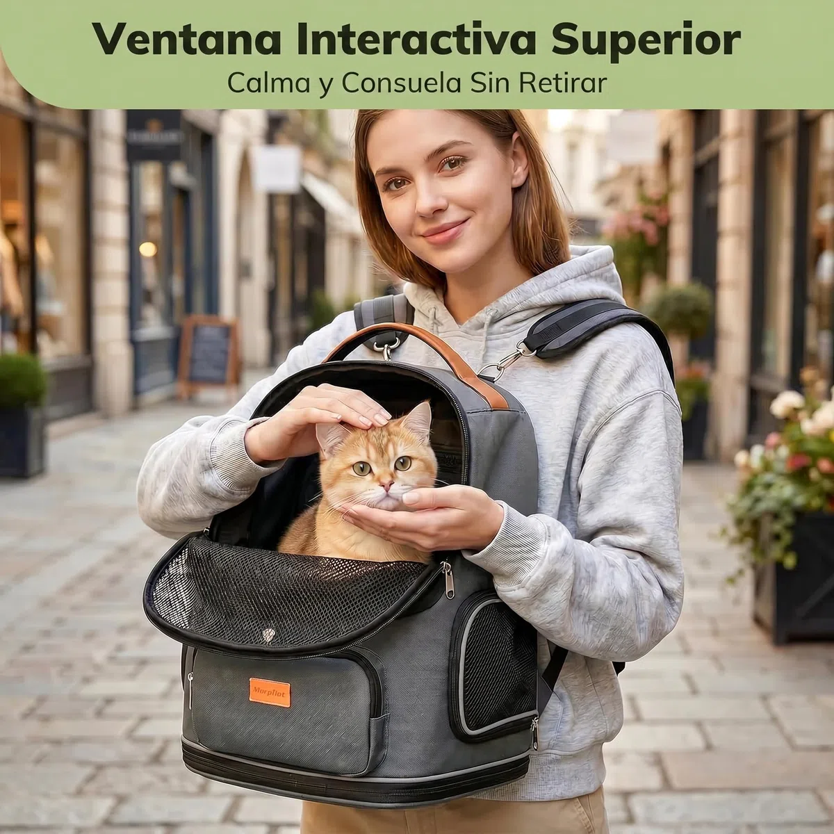 Morpilot Transportín para gatos extensible — con relleno de felpa extraíble; mochila portátil para perros, homologada por las compañías aéreas, ideal para acampadas y actividades al aire libre. Gris L