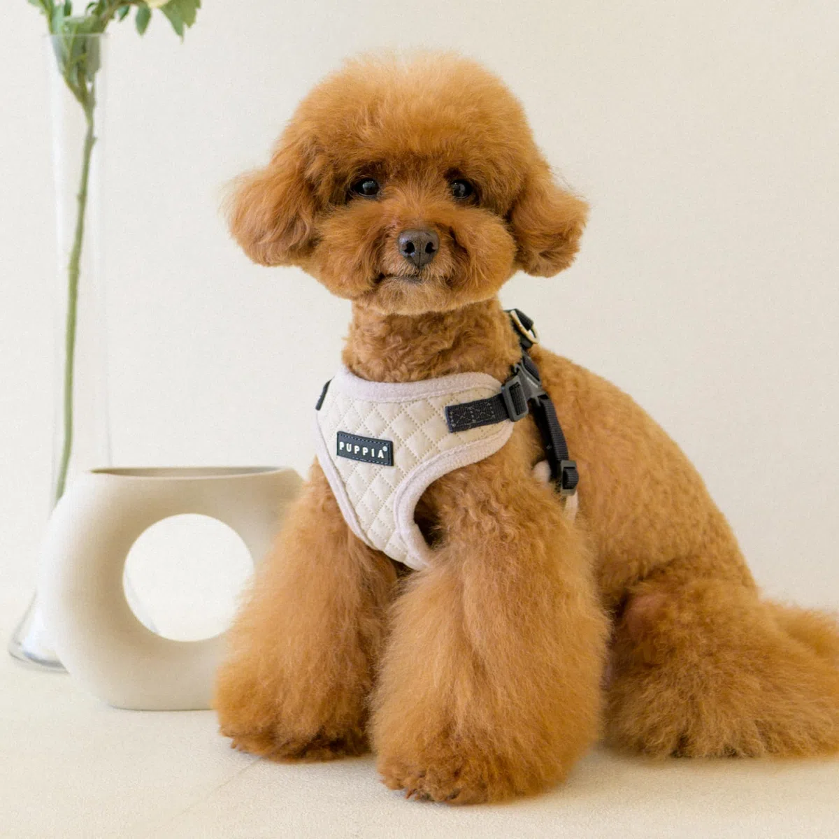 Puppia Irvin Comfort - Arnés cómodo para Perro, diseño de Diamantes, Cuello y Pecho Ajustables para Perros pequeños y medianos, Color Crema, Talla M
