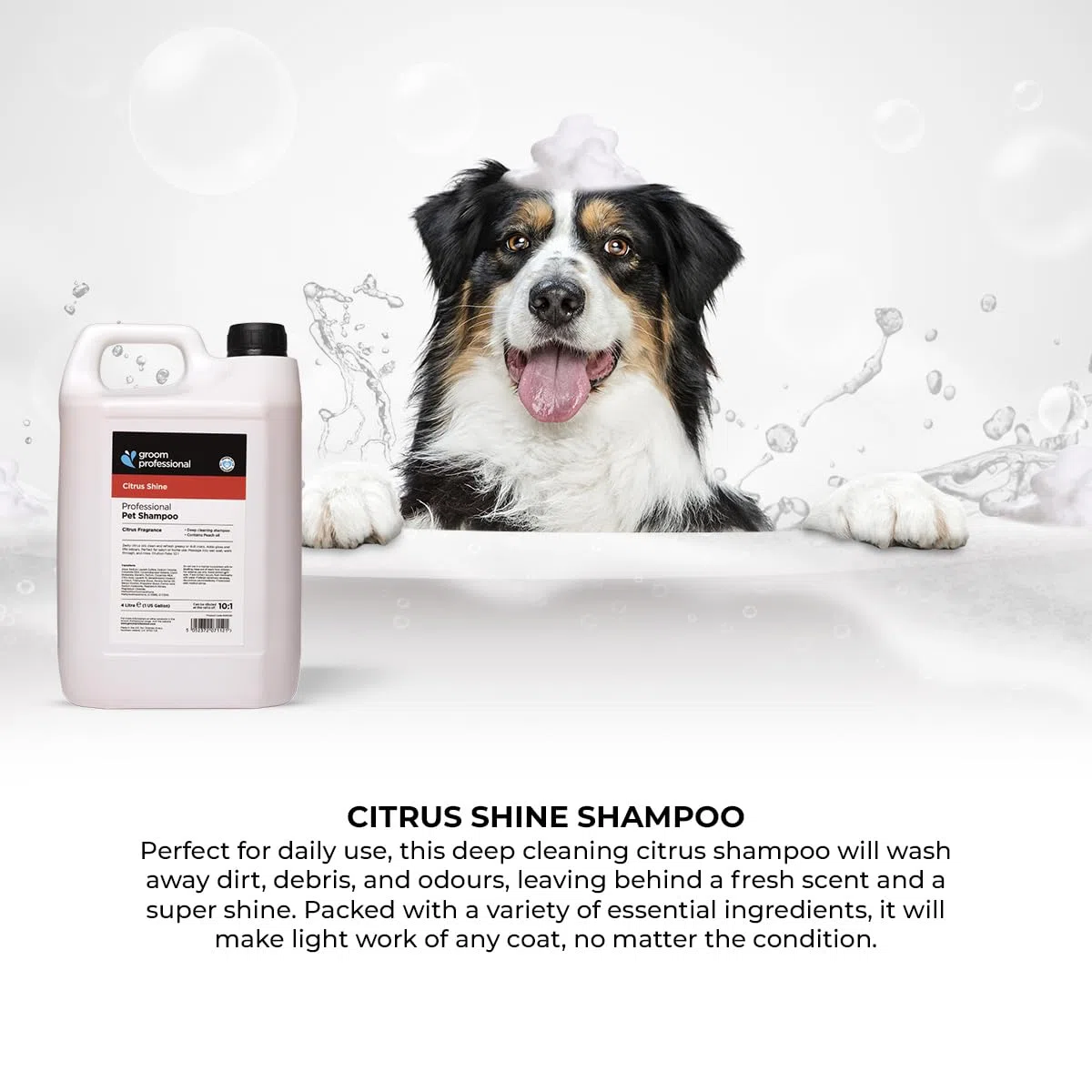Groom Professional Citrus Shine Champú para perros (4 L) – Concentrado 10:1 con aceite de cítricos y melocotón, limpieza profunda y desengrasante, elimina olores y aroma fresco