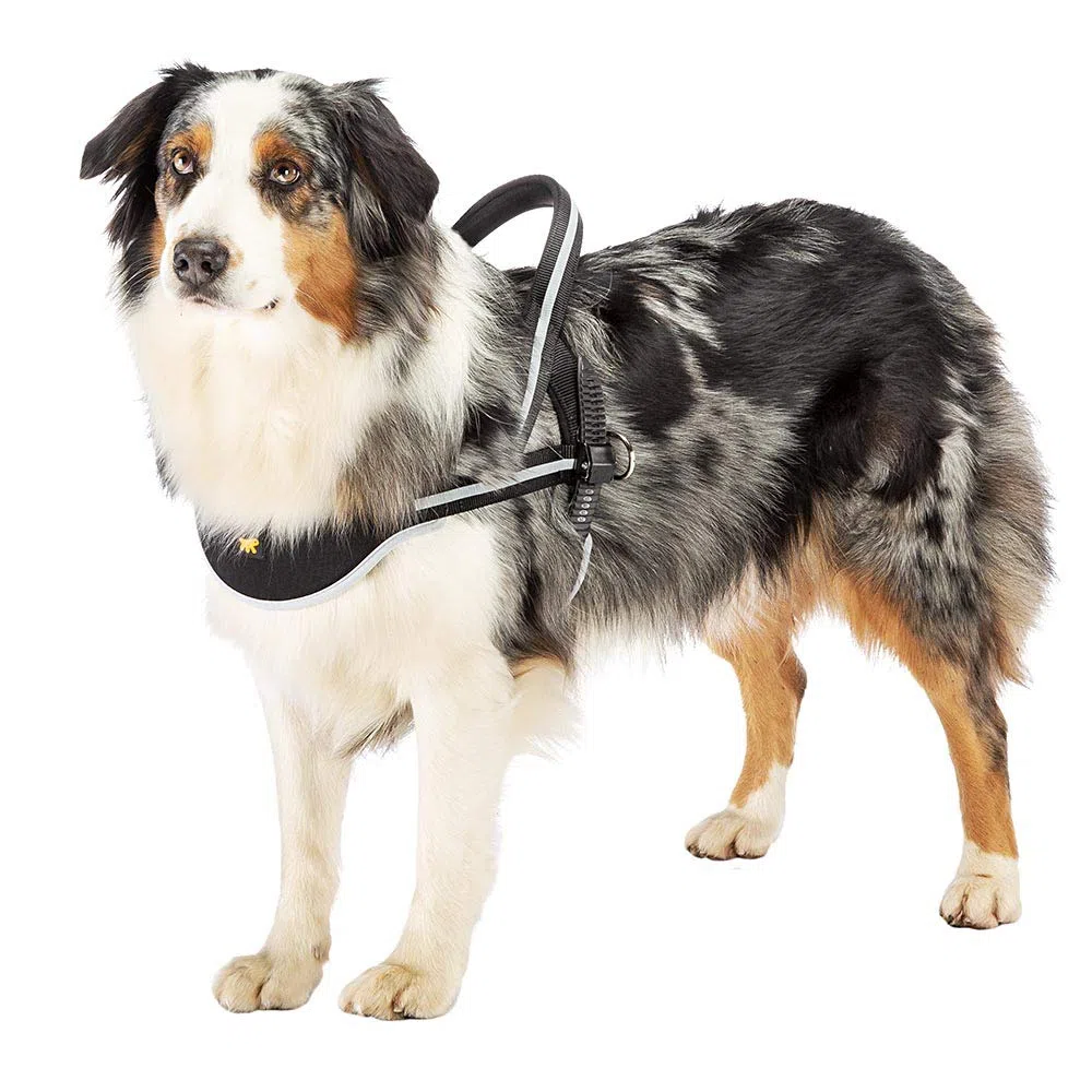 Ferplast Arnés Perros Grande ERGOCOMFORT Nordic, Arnés Sueco para Perros, Cómodo Acolchado, Reflectante, Cierre con Microrregulación, Liberación Rápida, Grande