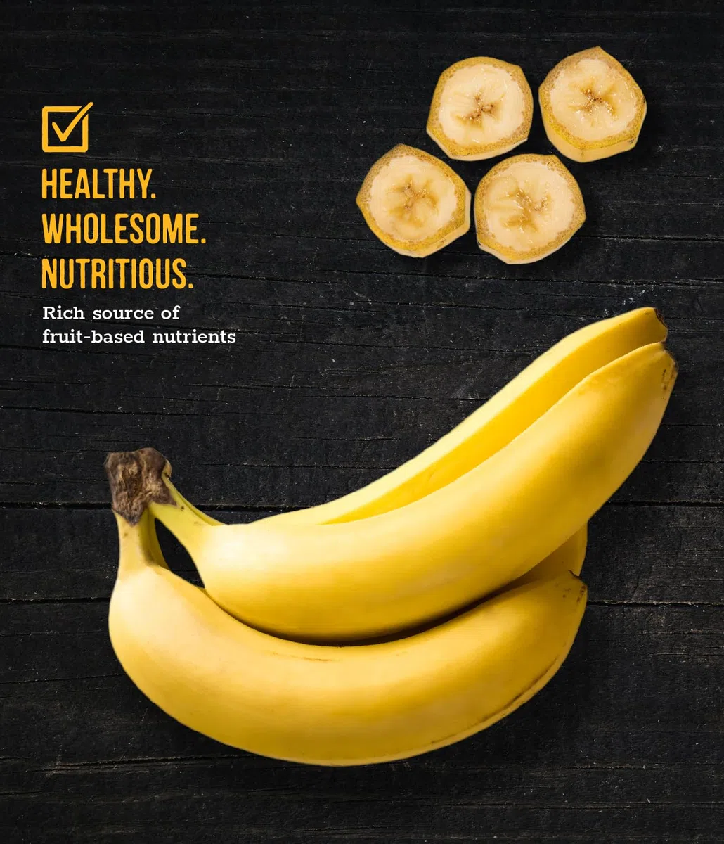 Wholesome Pride Banana Bites - Golosinas para Perros, 2 Ingredientes, plátanos y Aceite de Coco, sin Cereales, 473,6 g