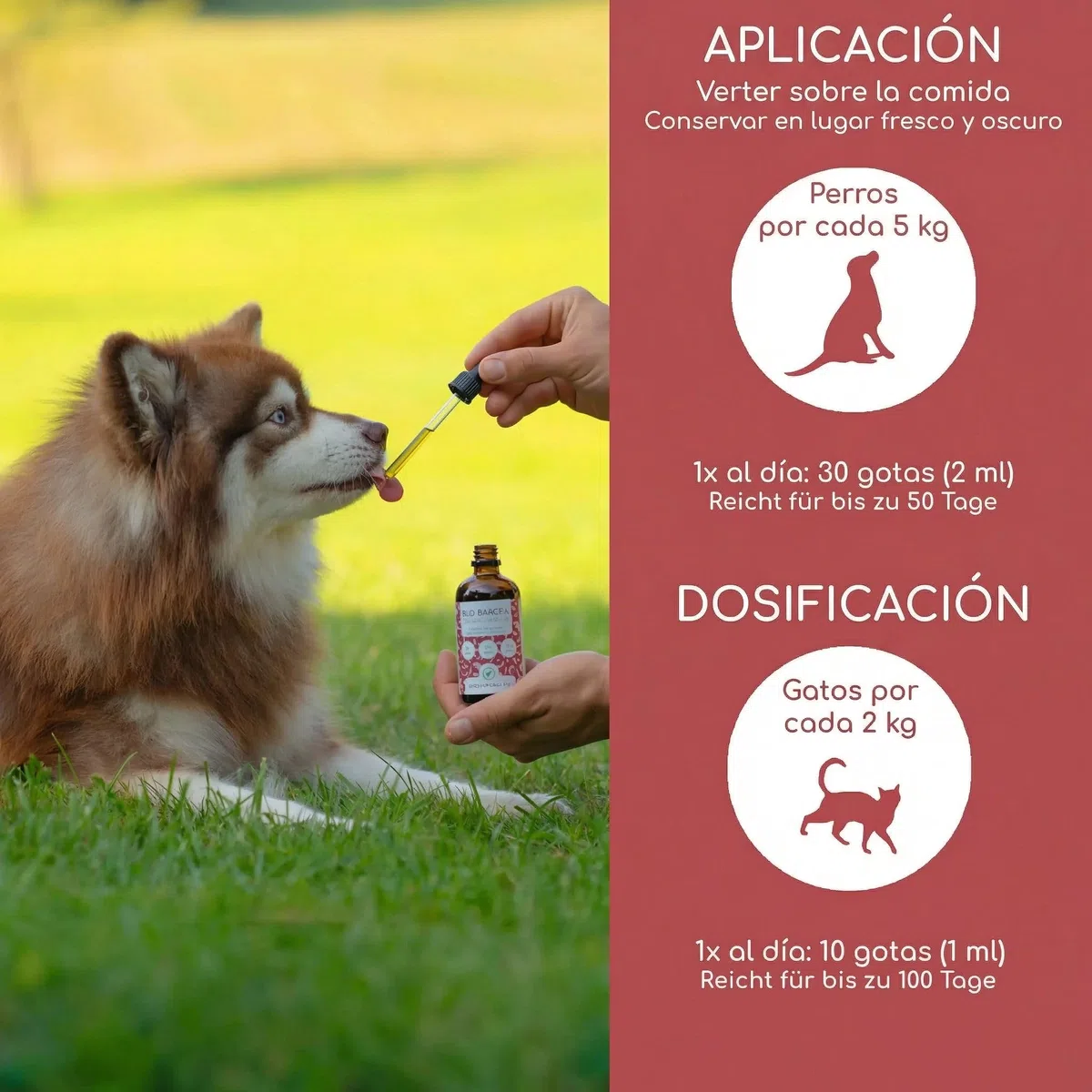 Aceite para Perros 1 litro – 100% Aceite Barf orgánico - Natural y Vegano - con Aceite de Lino, onagra, Oliva, Semillas de Calabaza, chía - con Omega 3-6-9, DE-ÖKO-060