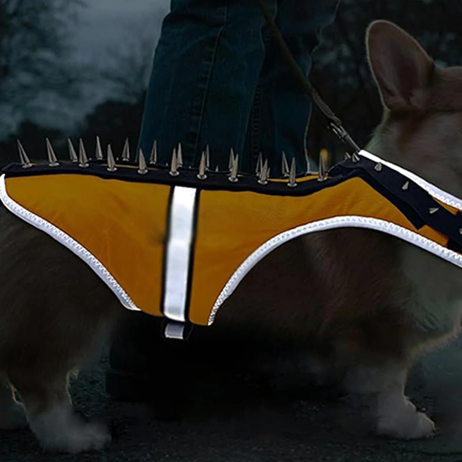 Chaleco De Protección con Púas para Perros Pequeños Arnés Canino Ajustable | Arnés Reflectante Para Cachorro Protección Reflectante Para Mascotas Contra Ataques De Rapaces En Paseos Al Ai