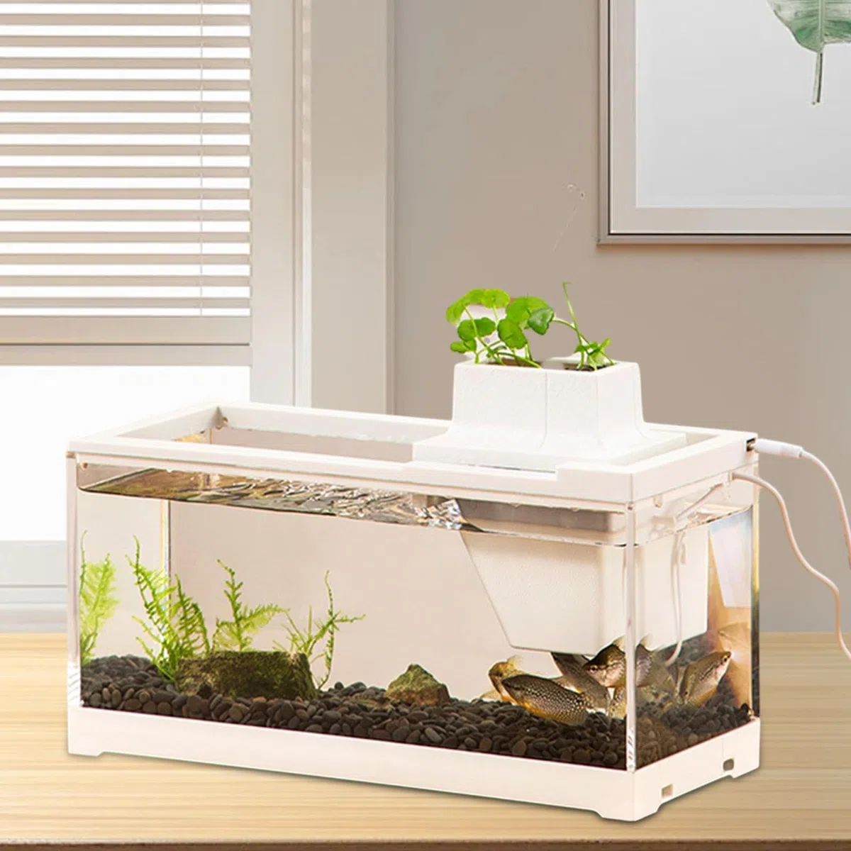 Acuario de Escritorio, pecera de Escritorio Mini Acuario pequeño, Abierto,