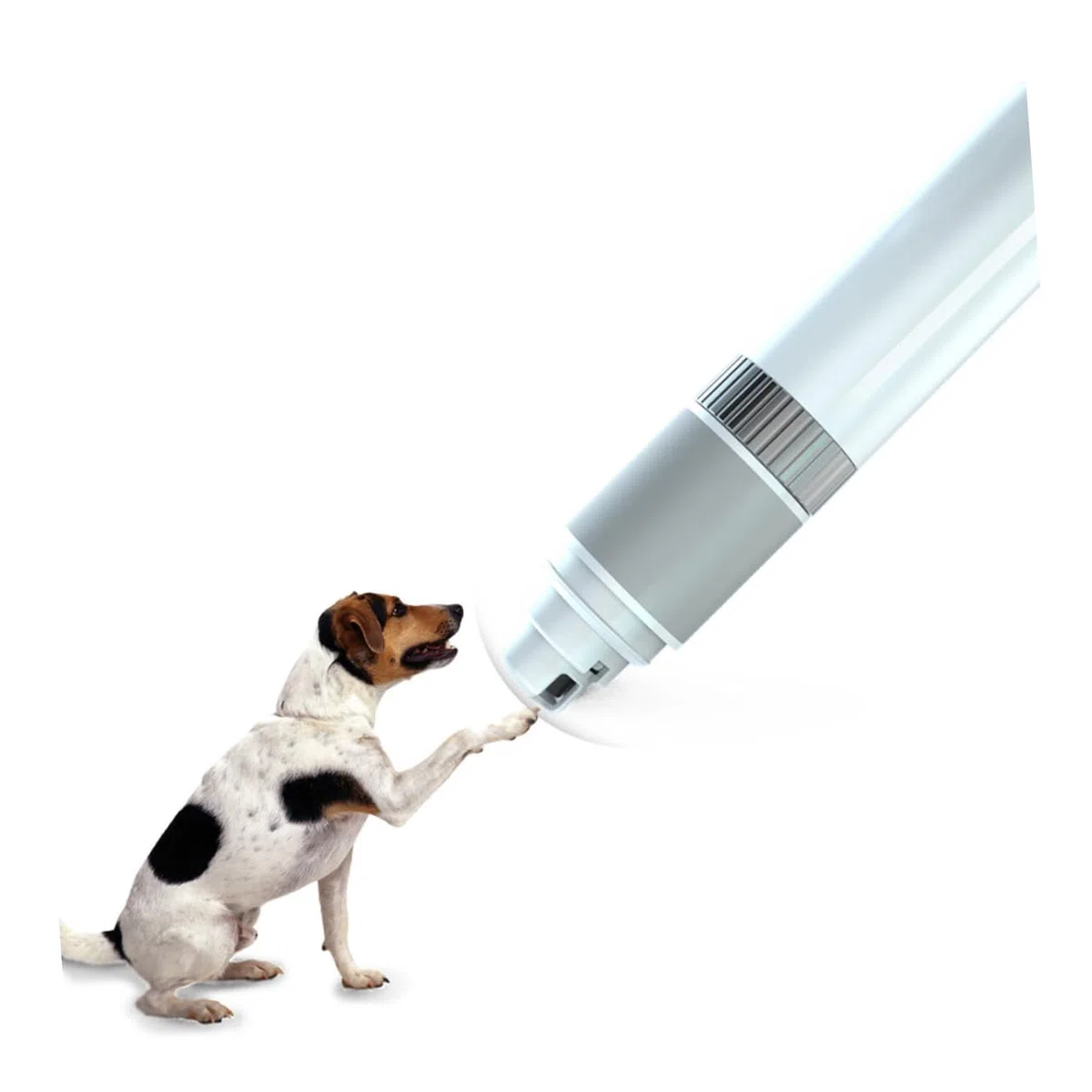 Esmalte De Uñas para Mascotas Cortaúñas Eléctrico Automático y Portátil Silencioso para Perros y Gatos Herramienta para Limpiar Uñas De Mascotas