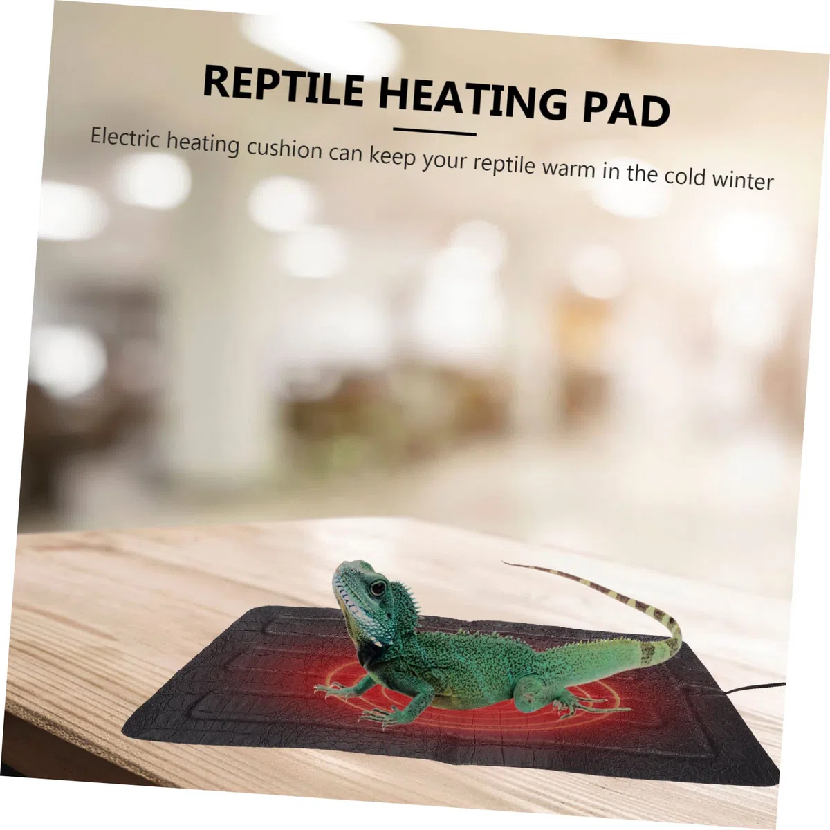 GALPADA Alfombrilla Térmica para Reptiles con Control USB de Temperatura Calentador Eléctrico Antirrasguños para y Tortugas Protector para Mascotas Pequeñas Invierno