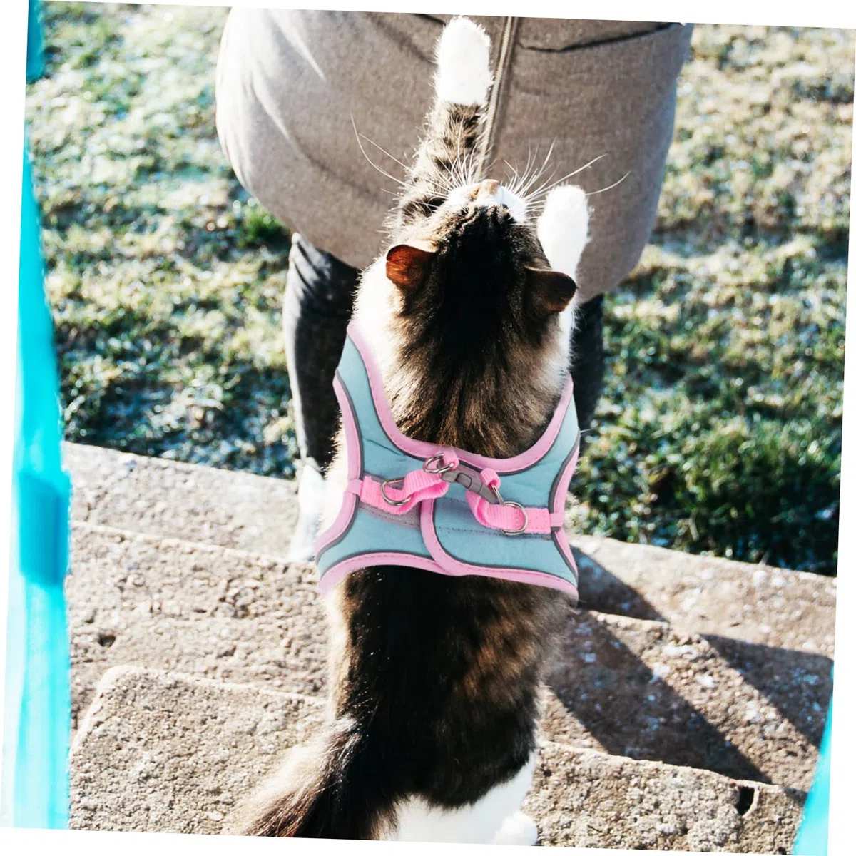 Happyyami 4juegos Arnés Reflectante para Gatos y Cachorros Kit De Chaleco Correa Diseño Resistente y Adorable para Paseos Al Aire