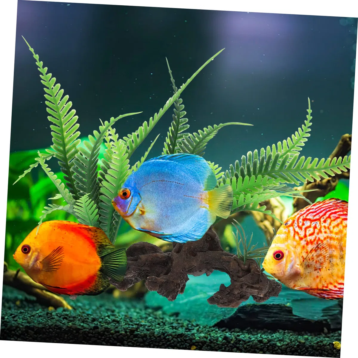 Toddmomy 5piezas Planta Artificial para Acuario y Terrario Decoración Acuática Lifelike De Plástico Adorno para Pecera y Espacio De Mascotas Natural y Agradable para Peces y Reptiles