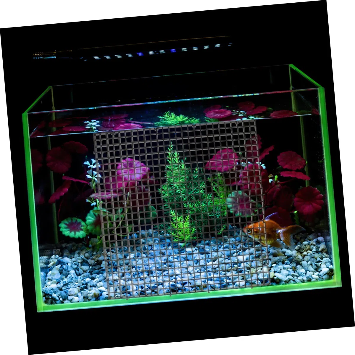 1juego Divisor De Acuario Ventosas Separador De Peces para Tanques Rejilla De Aislamiento Modular De Fácil Instalación y Personalización para Peceras