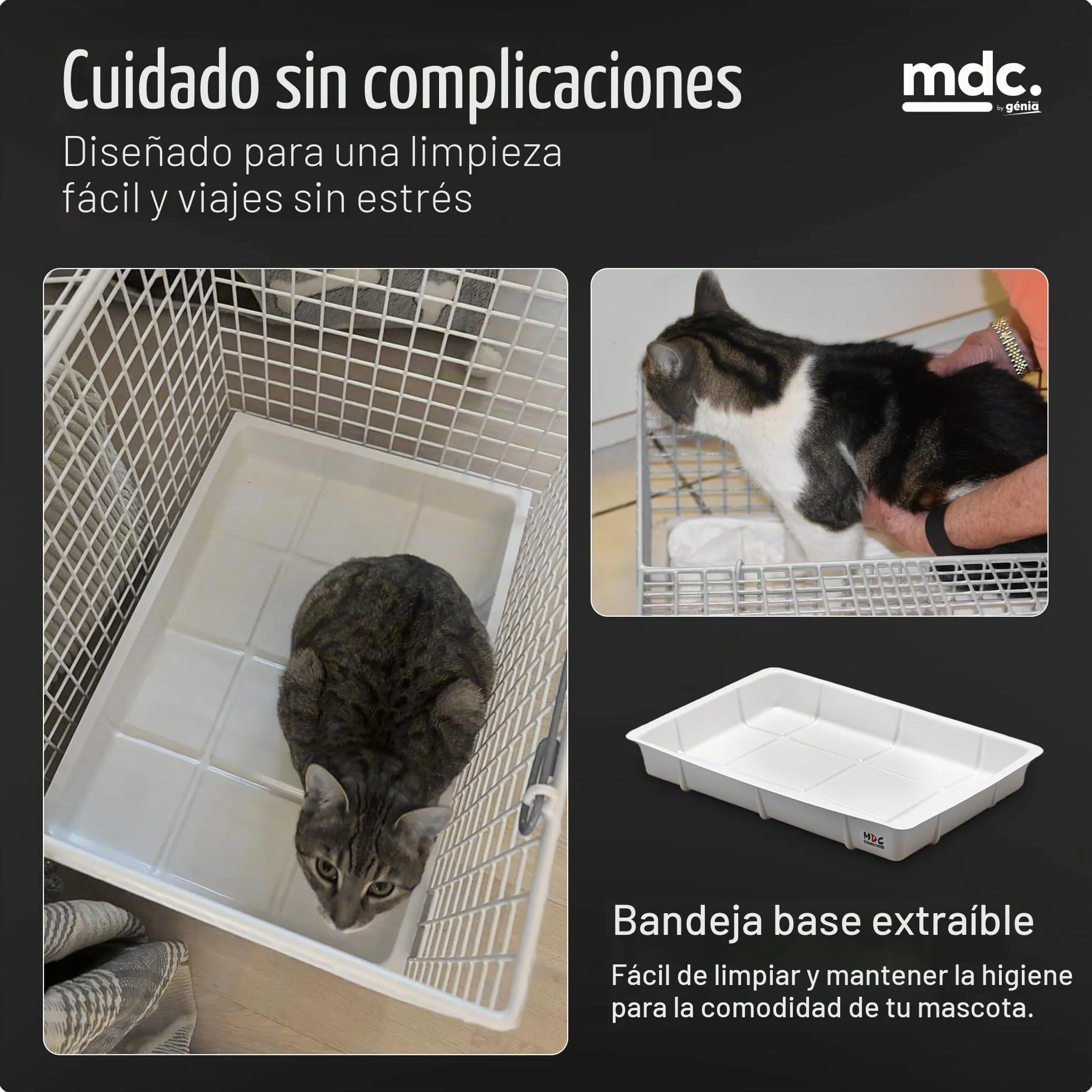Transportador Grande para Gatos, para Arena y Perros pequeños, Este es un transportador Grande