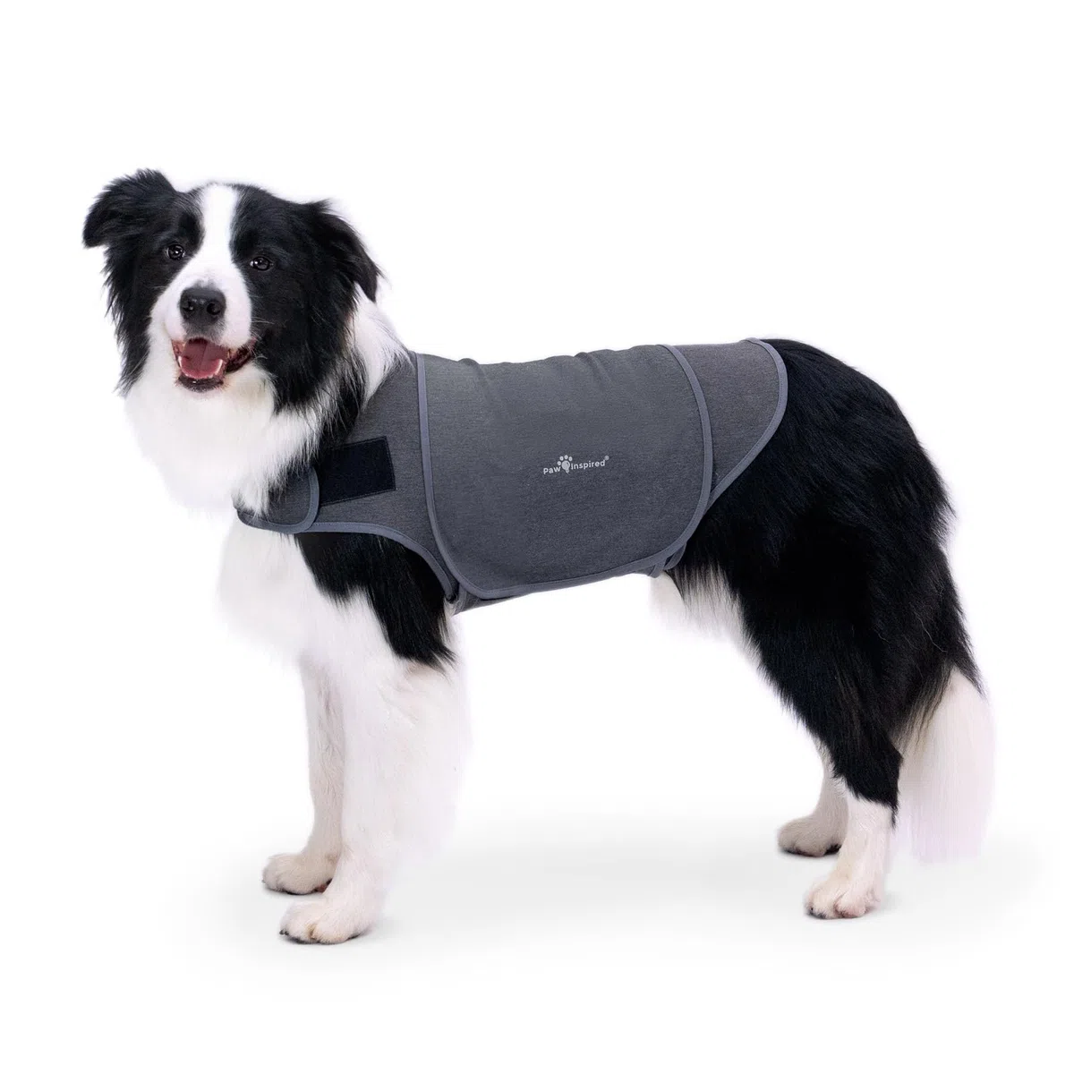 Paw Inspired Chaleco de ansiedad para perros, chaqueta de trueno con peso calmante para perros, chaleco de compresión calmante para tormentas eléctricas, fuegos artificiales, viajes, ansiedad por