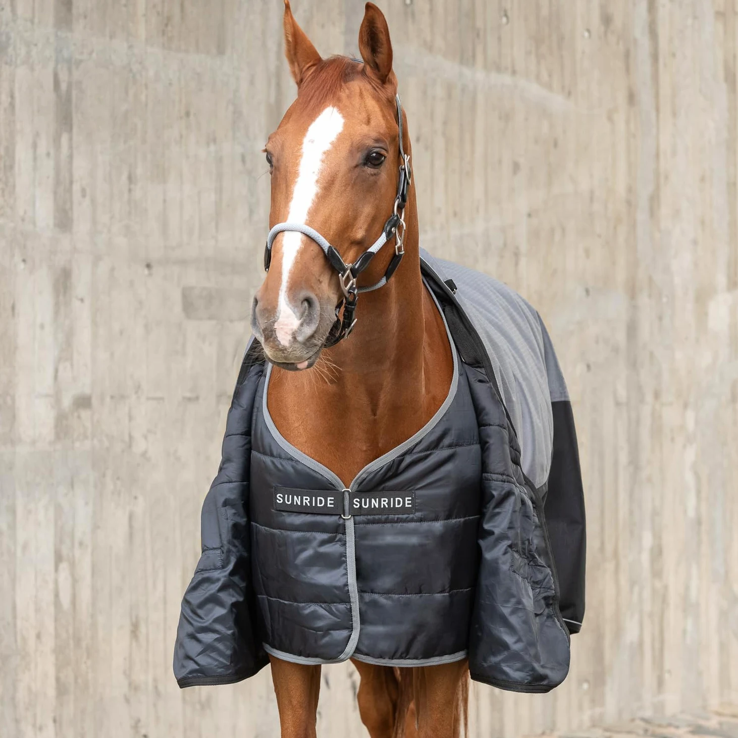 SUNRIDE Manta Interior de 150g para Caballos - Puede combinarse de Manera Flexible con Nuestras Mantas de Invierno y Capas Impermeables (145 cm, Negro)