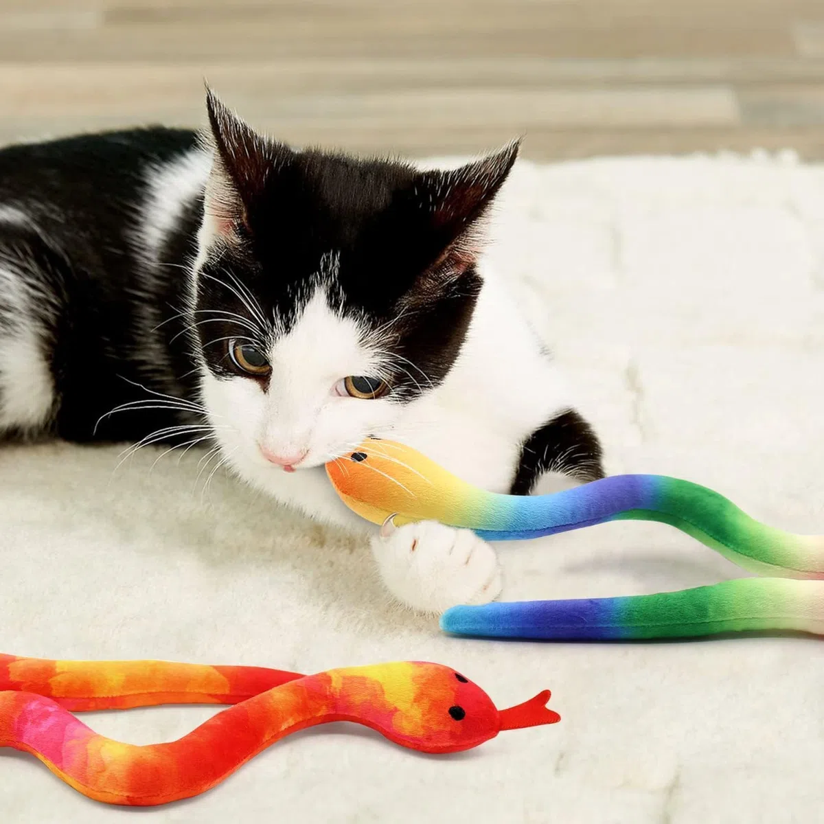 CiyvoLyeen Catnip Toys