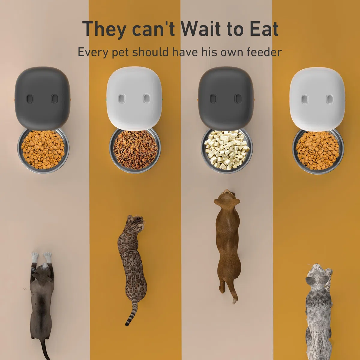 Comederos automáticos para Gatos, dispensador de Comida para Gatos de 3 litros, fácil de Usar, alimentador automático para Mascotas con más de 180 días de duración de la batería, 1-6 Comidas, Control