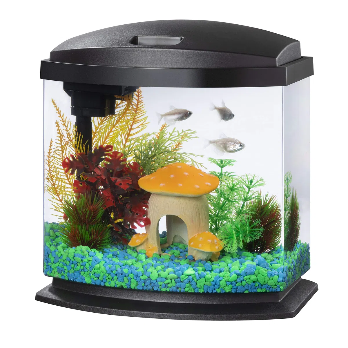 Aqueon Kit de Acuario LED MiniBow con tecnología SmartClean, Negro, 2.5 galones