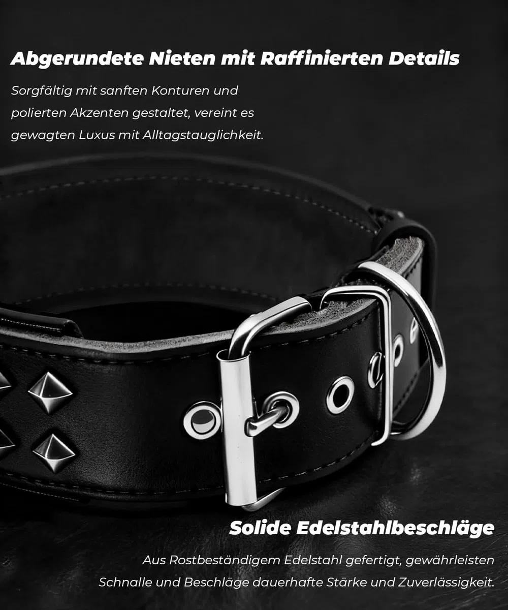 EliteGuard Collar de Perro Cuero 5,6 cm de ancho, Negro, M
