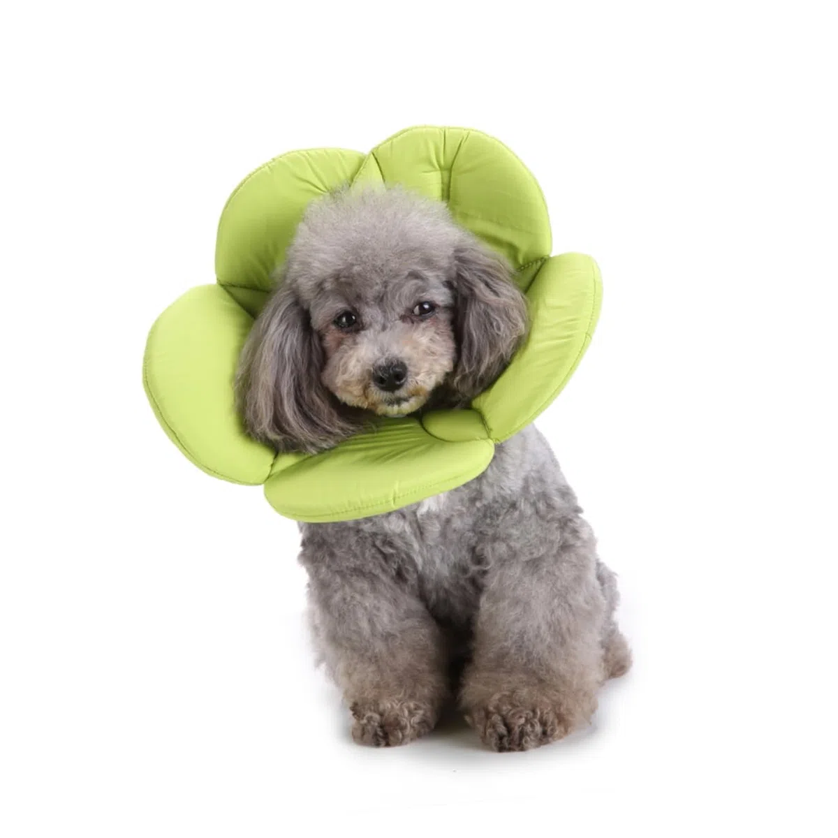 INOOMP 3piezas Collar De para Mascotas Cono Protector De Collar Elizabethano para Perros y Gatos s para Curación De Heridas