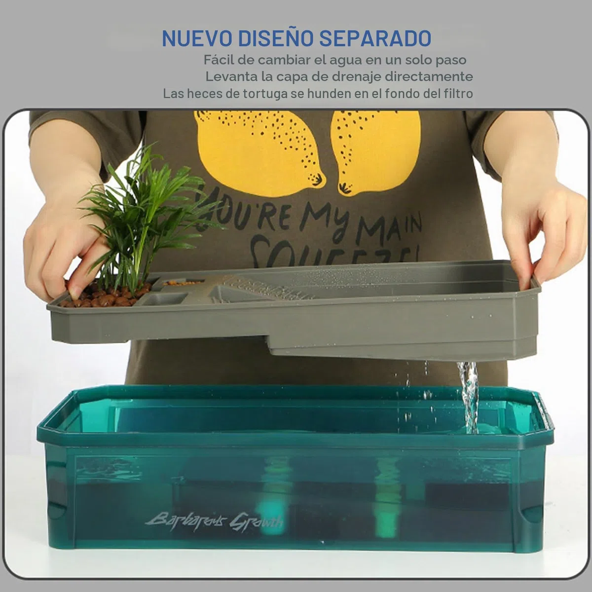 Terrario Tortugas de Tierra | Terrario Reptiles y Anfibios | Acuario Tortuga Set Completo con Filtro de Agua para Ducha | Tanque para Hibernación de Tortugas | Fácil de Cambiar y Limpiar(Green Without