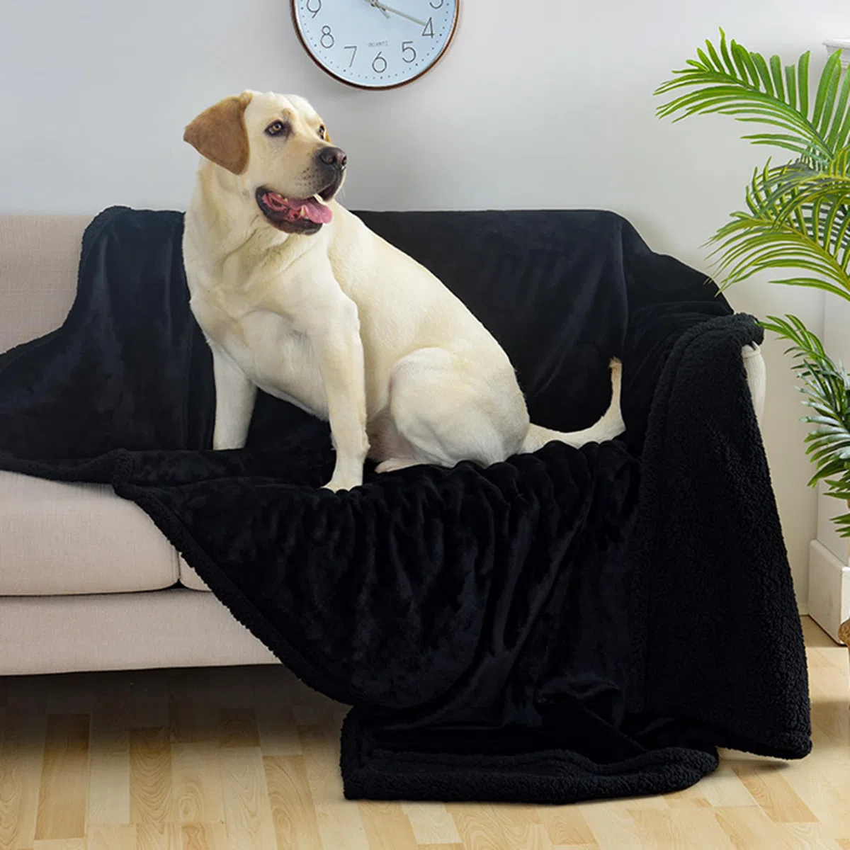 Manta grande para mascotas, paquete de 2 mantas para perros, manta lavable para gatos, impermeable, manta calmante para perros y gatos, manta versátil para perros y gatos, manta versátil para