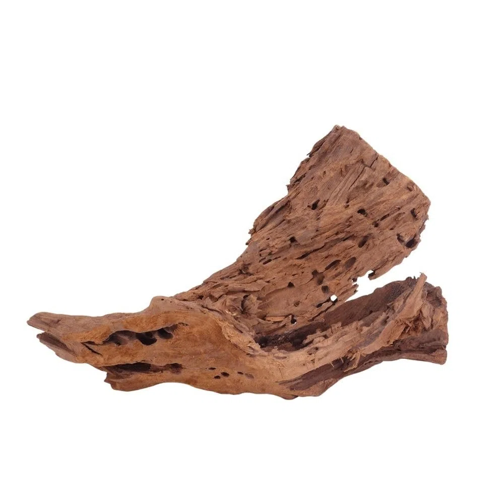 AquaOne Acuario de raíz decorativa L de manglar, madera auténtica, nº 4007, decoración de madera, plantas acuáticas, paisaje, musgo, naturaleza
