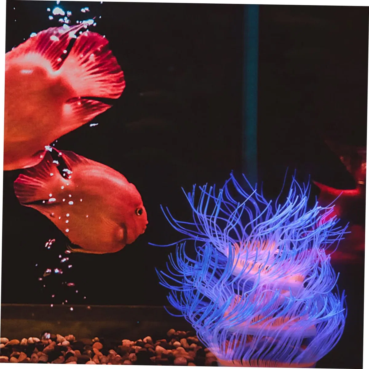 Happyyami 4 Piezas Coral Artificial Fluorescente Agua Bomba de Aire del Acuario Calentador decoração casa decoración casa pecera Animal Marino Hierba del Tanque de Peces Gel de sílice