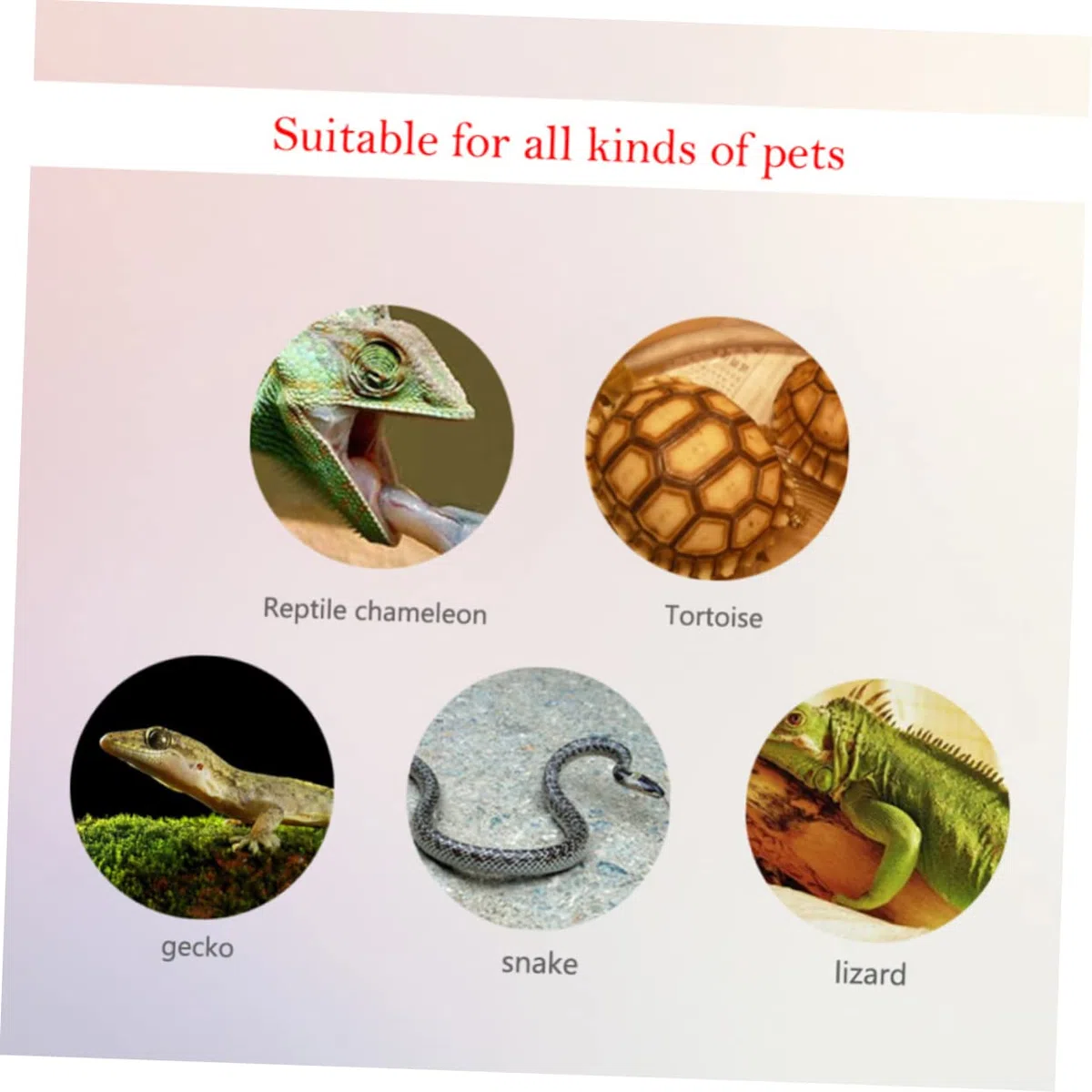 10piezas Termómetro y Higrómetro Digital Medidor De Humedad y Temperatura Para Caja De Reptiles Acrílico Portátil y