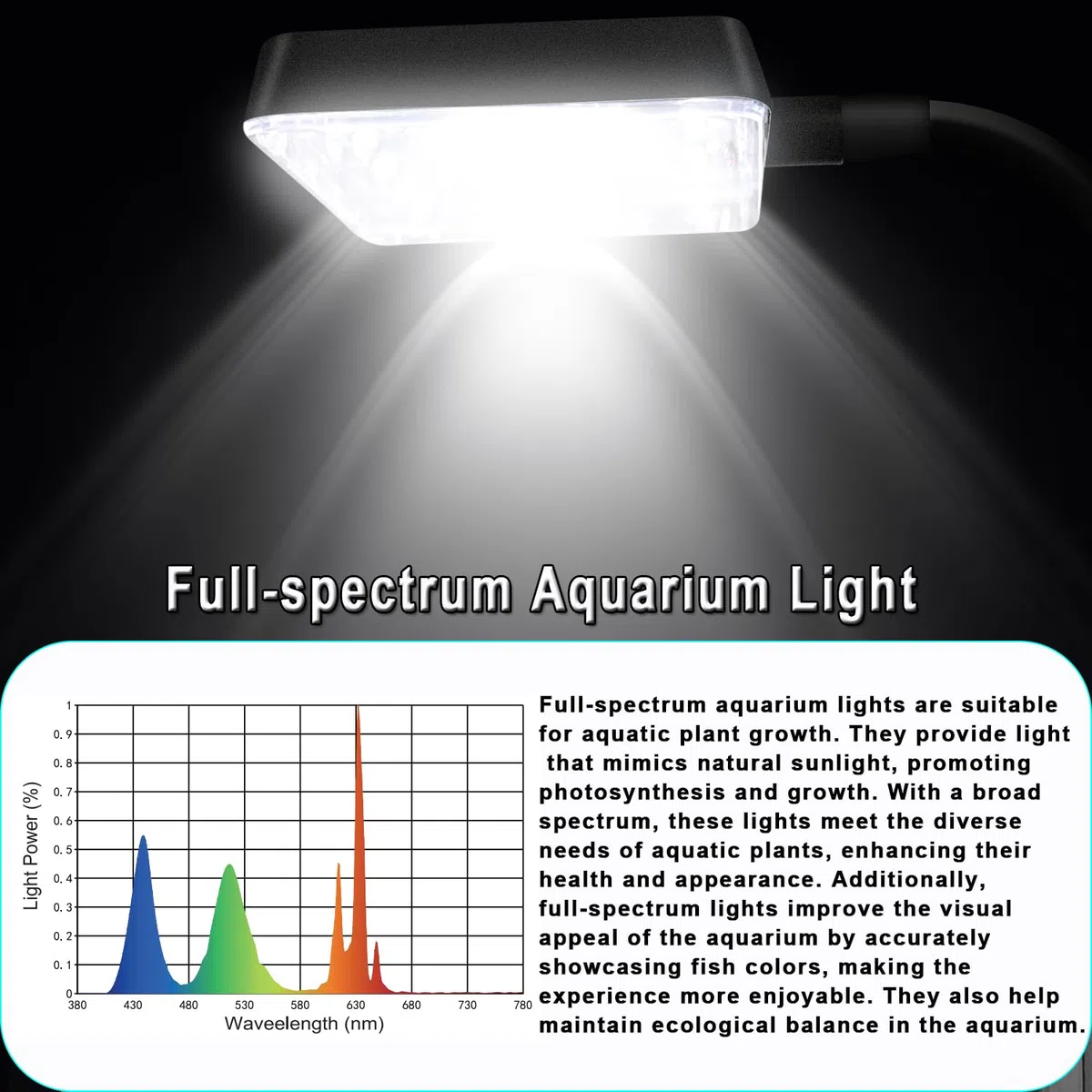 Acuario de Nano Cristal de 32 cm de Largo, con Placa separadora para Betta, pecera Cuadrada Multifuncional con Filtro, luz LED, Vidrio Blanco de 4 mm