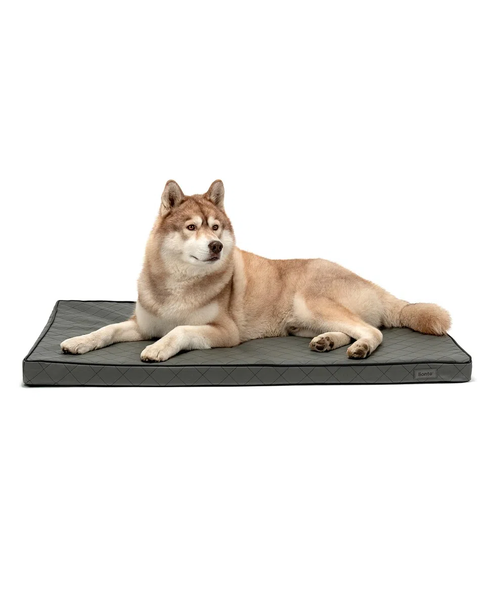 lionto Colchoneta Ortopédica para Perros con Memory Foam, (XL) 118x80 cm Gris