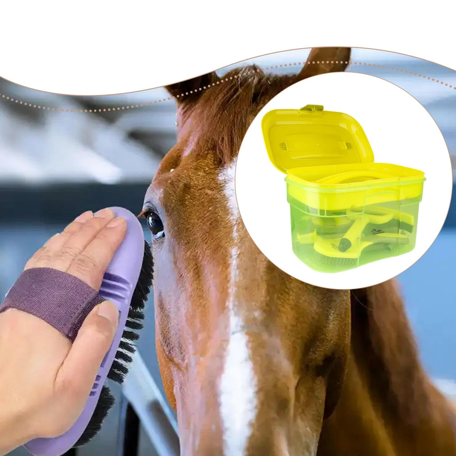 Amagogo Kit de Aseo para Caballos de 8 Piezas: cepillos, raspadores y Accesorios de Calidad. Durabilidad Profesional. Incluye Organizador y