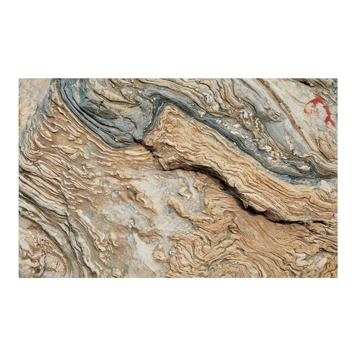 Etiqueta engomada del Fondo Acuario de la decoración Tanque Peces 3D