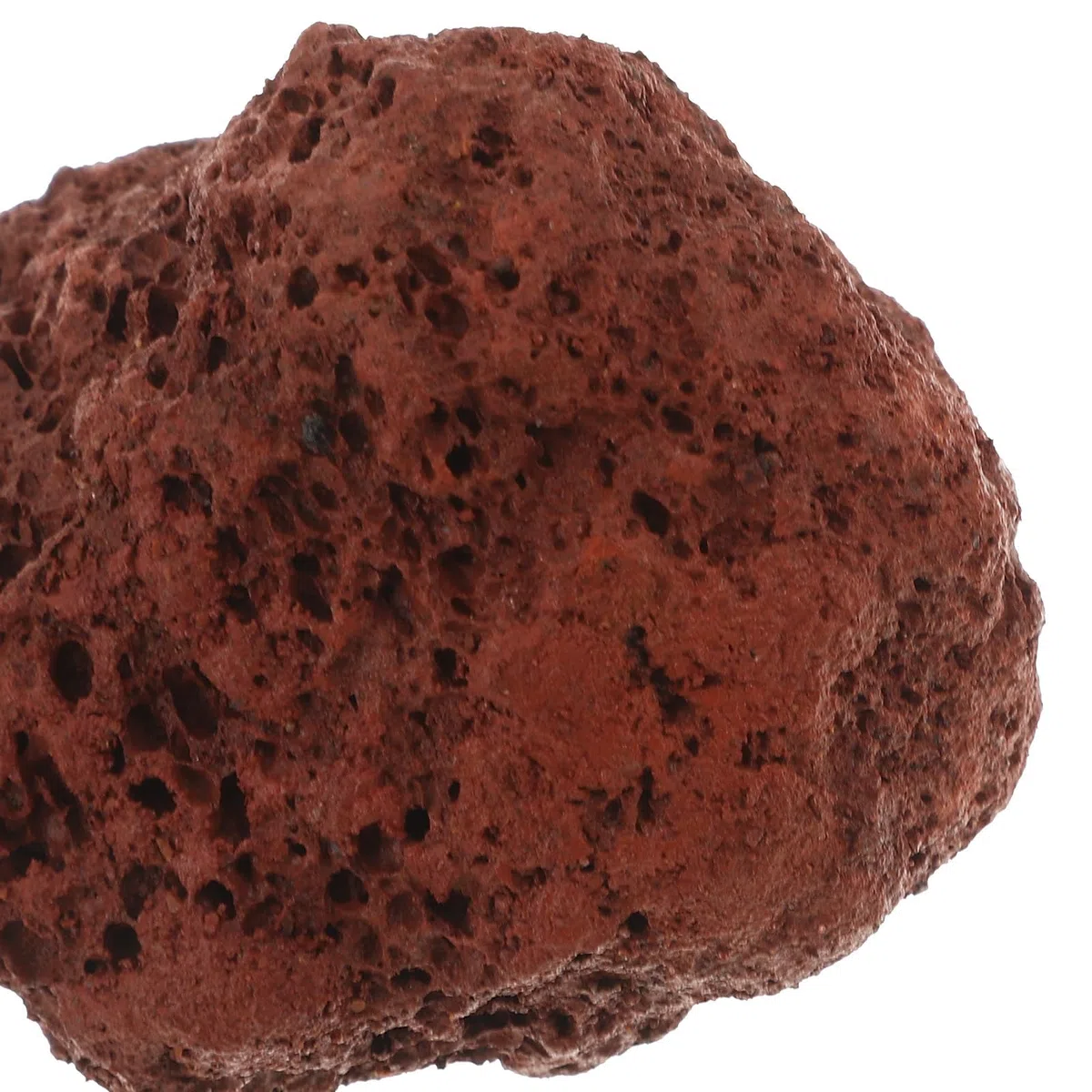 COHEALI Piedras Volcánicas Naturales para Acuario de Agua, Grava Decorativa de 1.5kg Que Previene Agua Turbia y Reduce Alteración del Sustrato