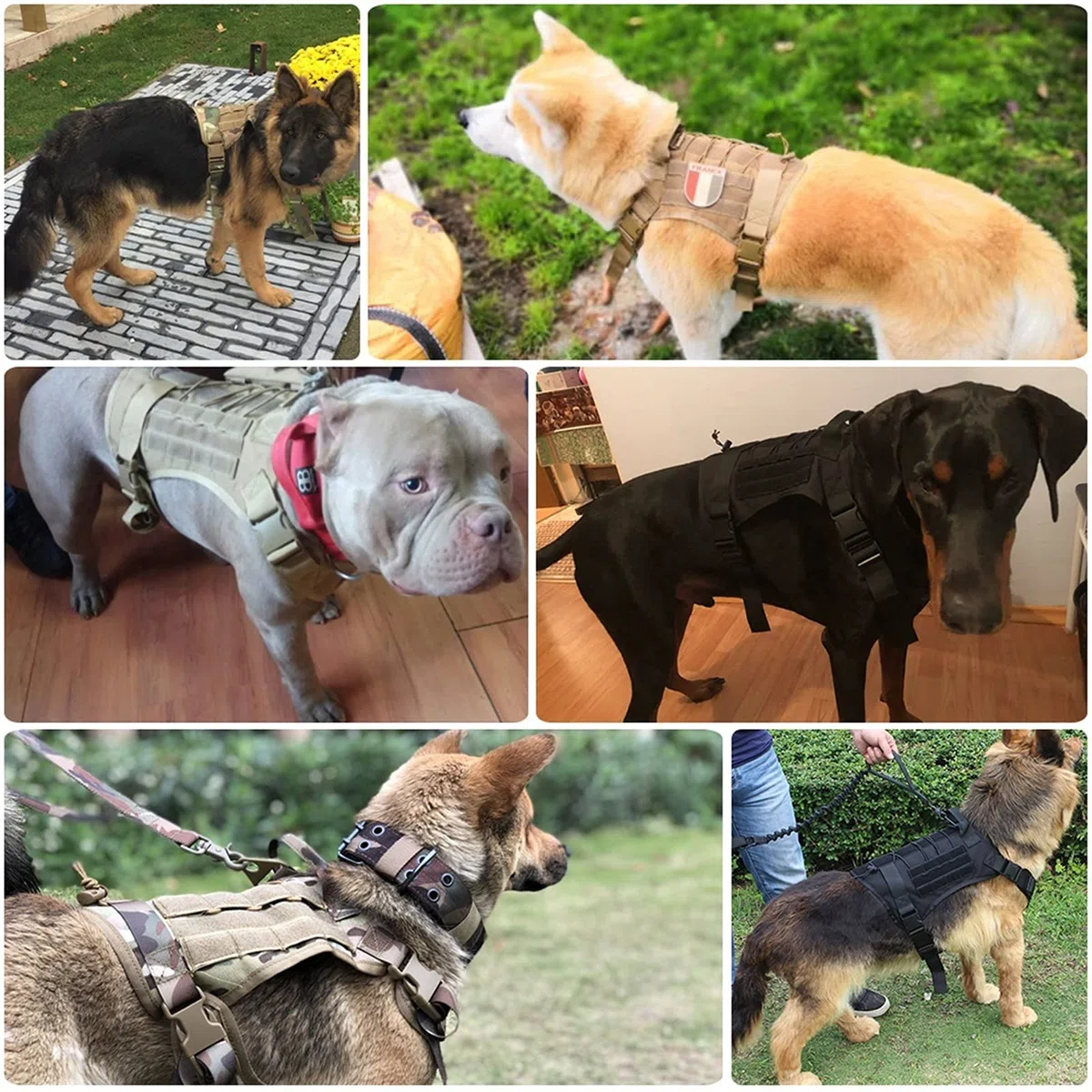 Arnés Militar Táctico para Perros Y Conjunto De Correa, Arnés para Perros De Trabajo para Perros Duraderos para Perros Pequeños Y Grandes Pastor Alemán