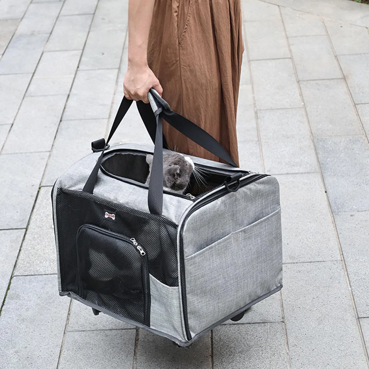 Transportín para Gatos con Ruedas - Transportín para Mascotas con Correa para el Hombro | Transportines para Gatos con Ruedas, Transportines para Mascotas con Ruedas para Viajar, Paseos Diarios,