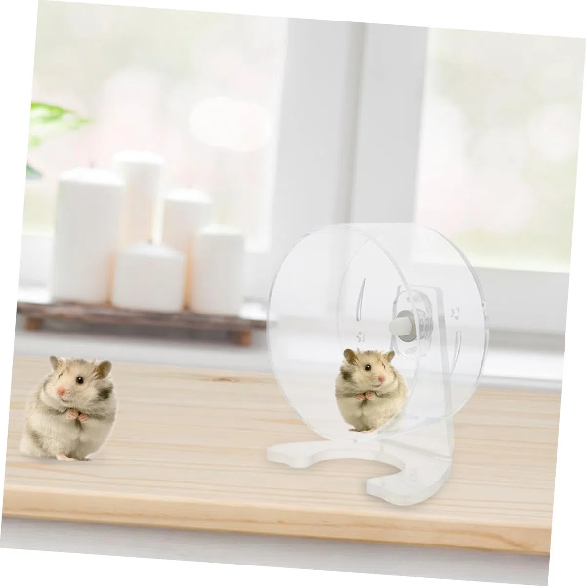 Mikikit Rueda de Ejercicio Silenciosa para Hámster con Soporte Rueda Transparente de 22 CM de Diámetro para Jerbos y Ratones Pequeños Material Plástico Resistente para Jaulas de