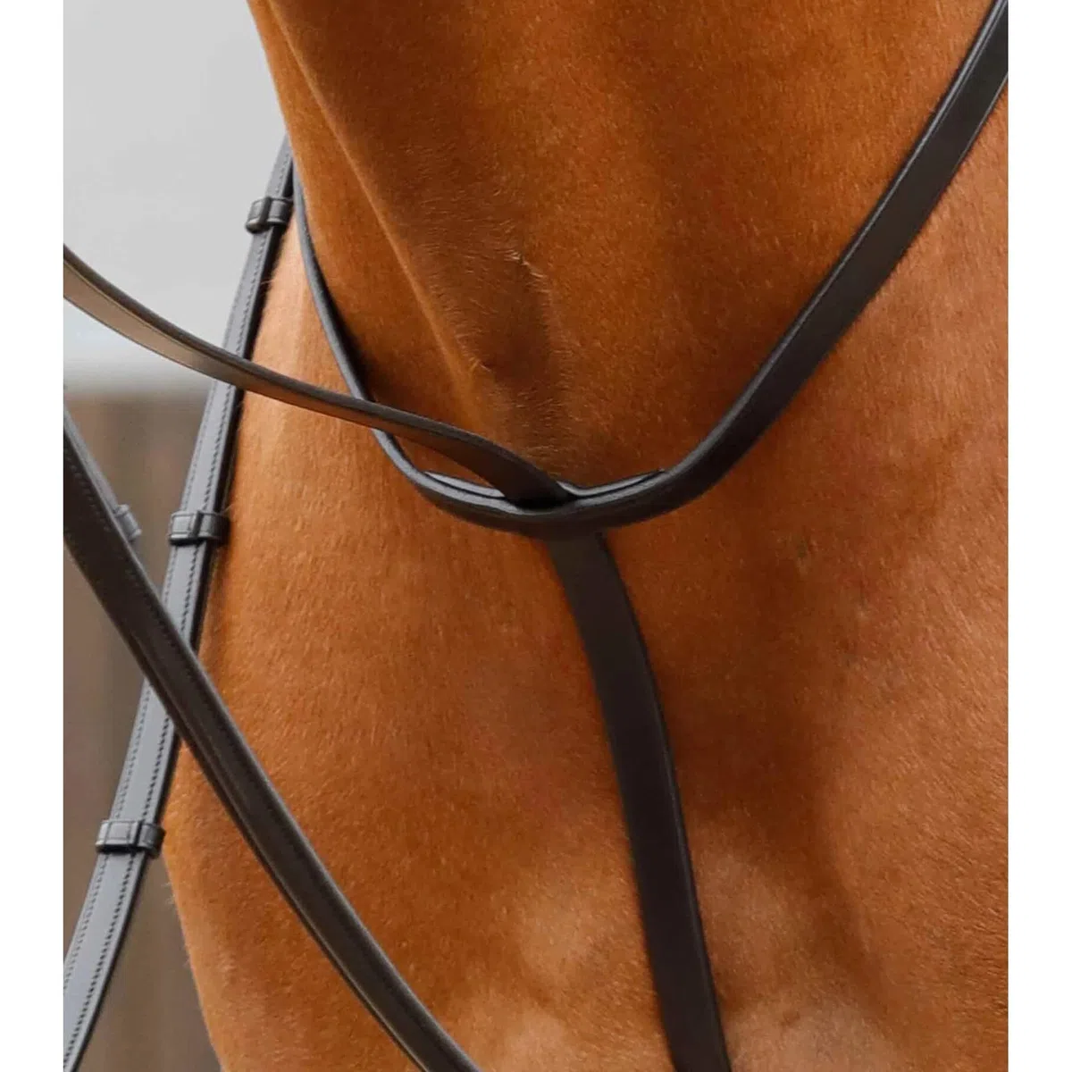 Premier Equine Martingala para Caballos Gressan