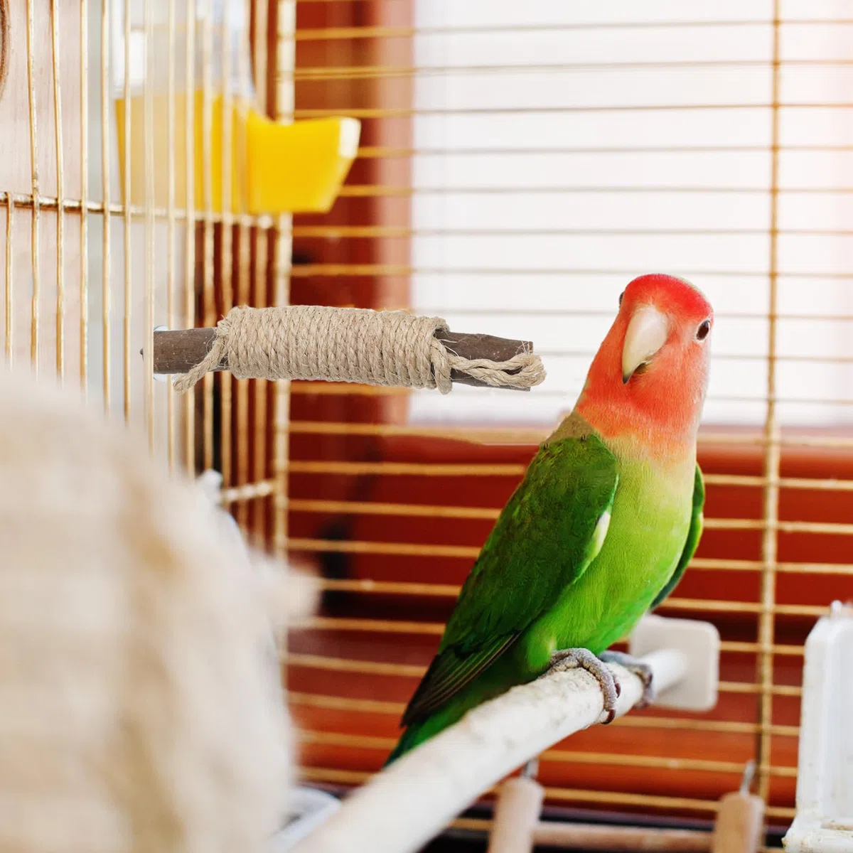 SUPVOX Perchas Grandes Accesorios para Jaulas de Pájaros Juego de 5 de Madera Natural para Loros con Cuerda para Trepar y Afilar Uñas en Jaulas Domésticas
