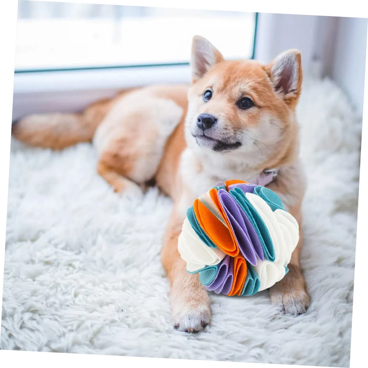 GALPADA Pelota Olfativa para Perros Interactiva, Juguete Masticable de Fieltro Duradero, 20 Cm, para Entretenimiento en Casa y Jardín, Adecuada para Perros Pequeños y Medianos