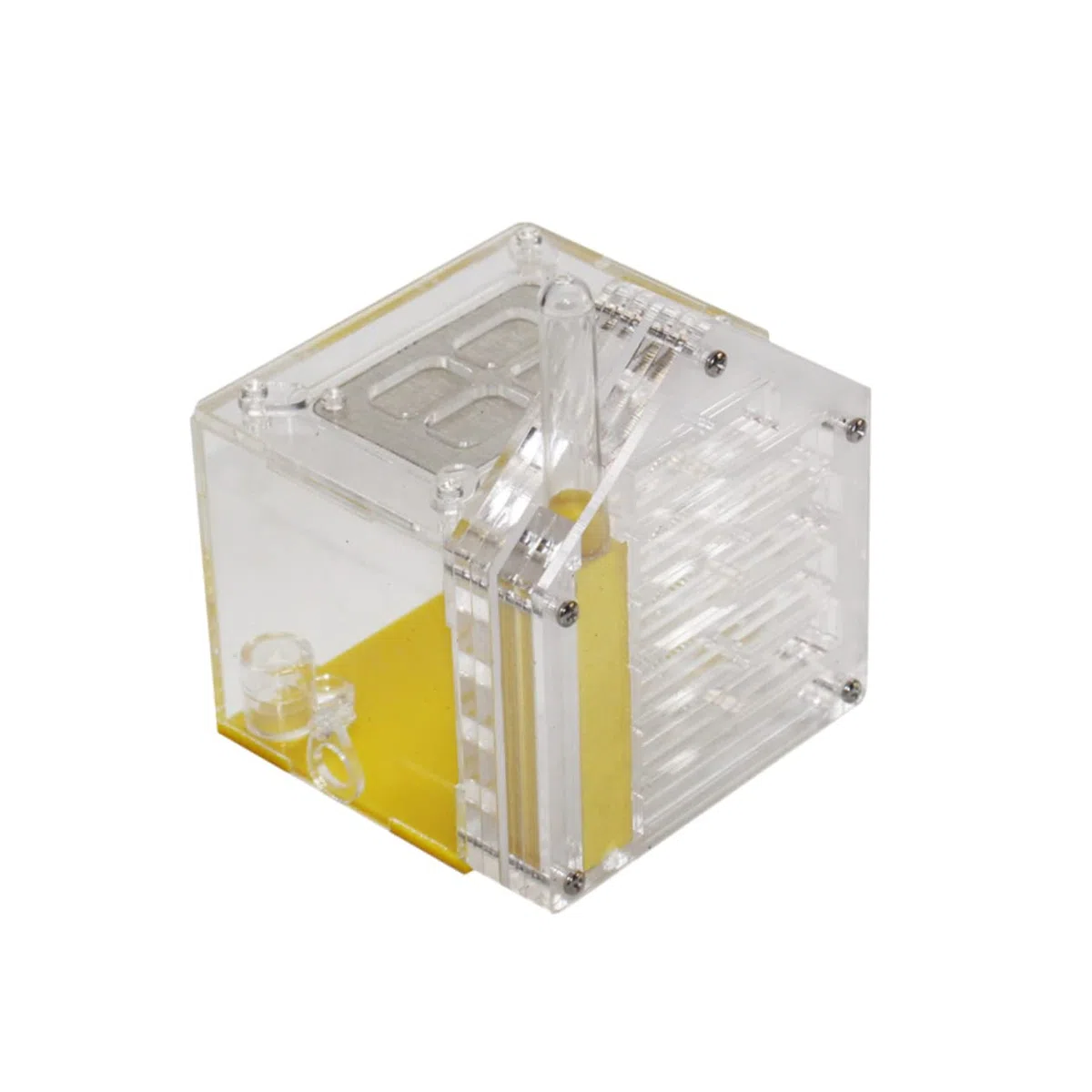 TOYANDONA Juguete Nido de Hormigas Regalo hábitat Granja de Hormigas Transparente Acrílico terrario