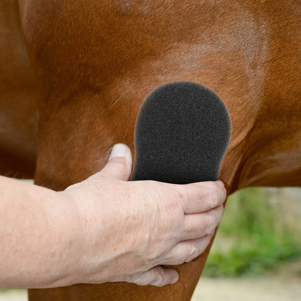 ibasenice 5 Esponjas Negras para Limpieza y Cuidado del Caballo Esponjas Suaves que No Dañan el Tejido Paquete de 5 Unidades para Uso Después de Paseos Recreativos