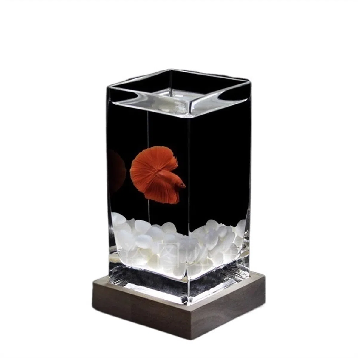 Pecera Pecera Cuadrada, Pecera de Lucha Alta translúcida con Base de Madera, Pecera Tropical, pecera pequeña de Escritorio de Vidrio Engrosado Acuario(Blanco)