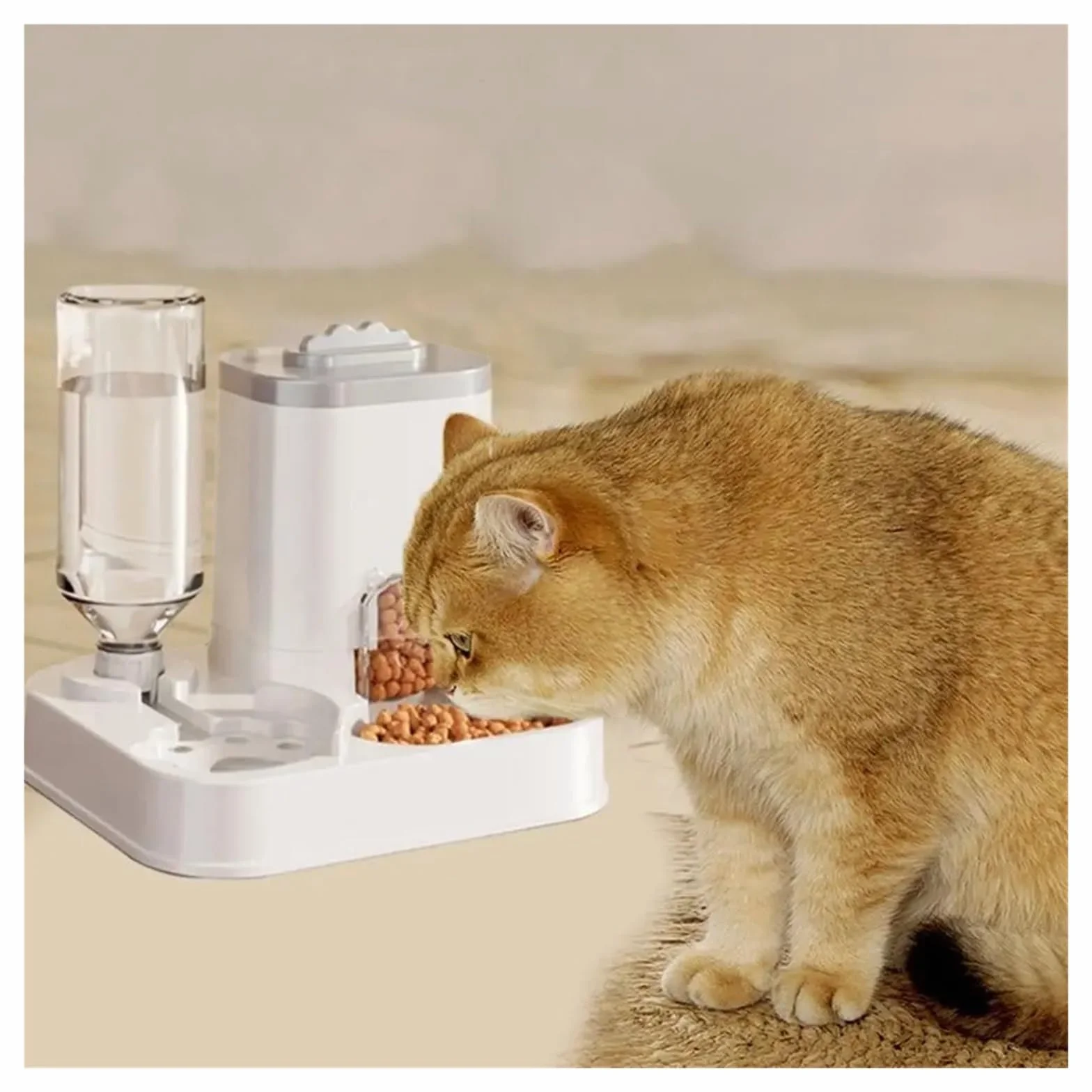 Dispensador de Comida for Gatos 2 en 1 con separación Alimentos Secos y húmedos, Bebedero automático Desmontable(Pink)