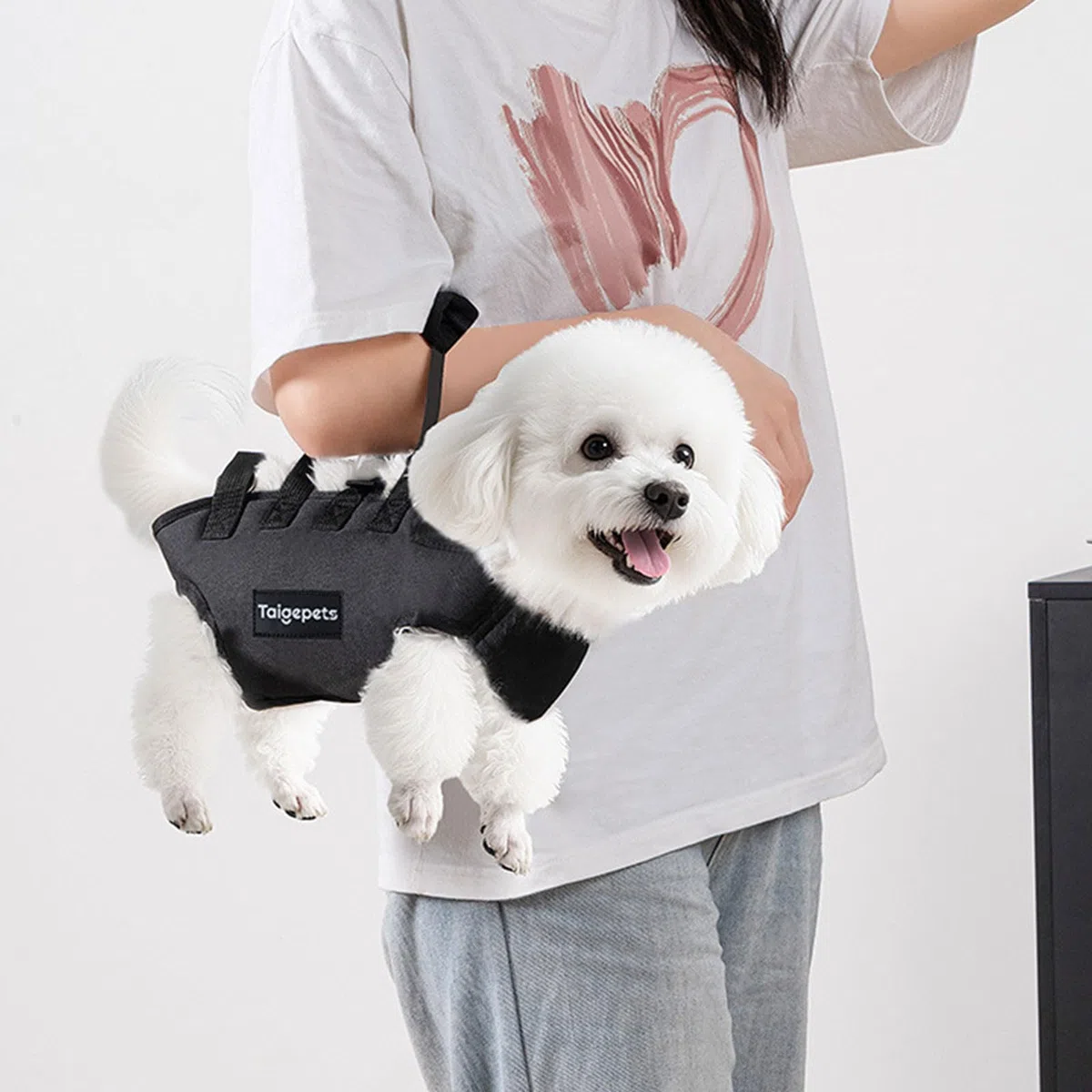 Bolsa de transporte para perros y gatos, mochila de hombro portátil, bolsa de viaje para mascotas, al aire libre, bandolera ajustable para mascotas