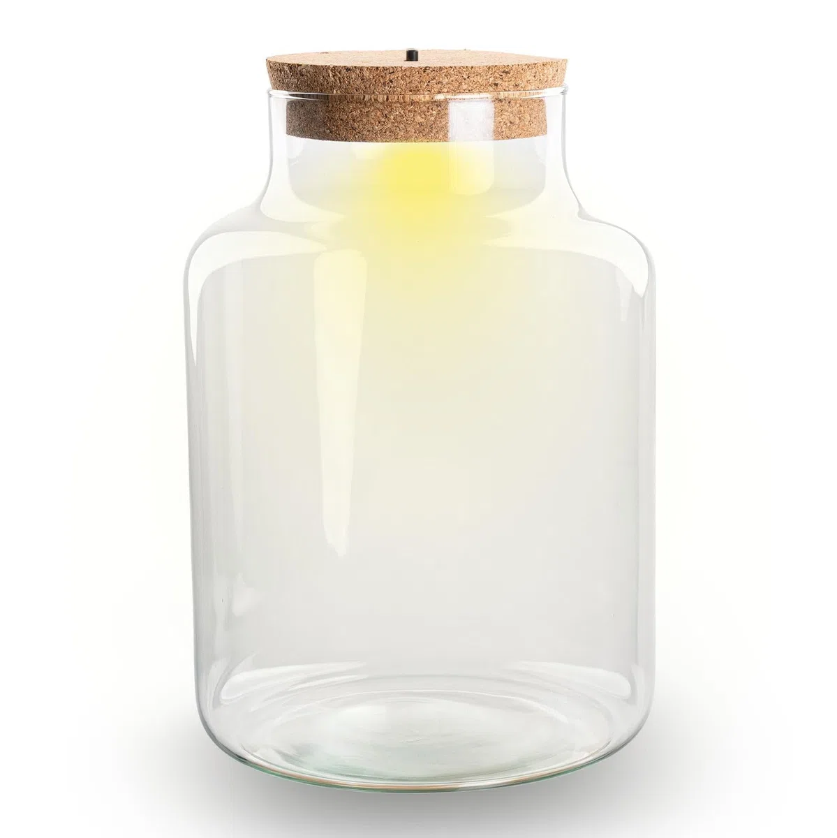 Terrario botella de cristal cerrada con corcho e iluminación LED – Altura 24,5 cm Ø17 cm – Terrario decorativo para plantas de vidrio reciclado
