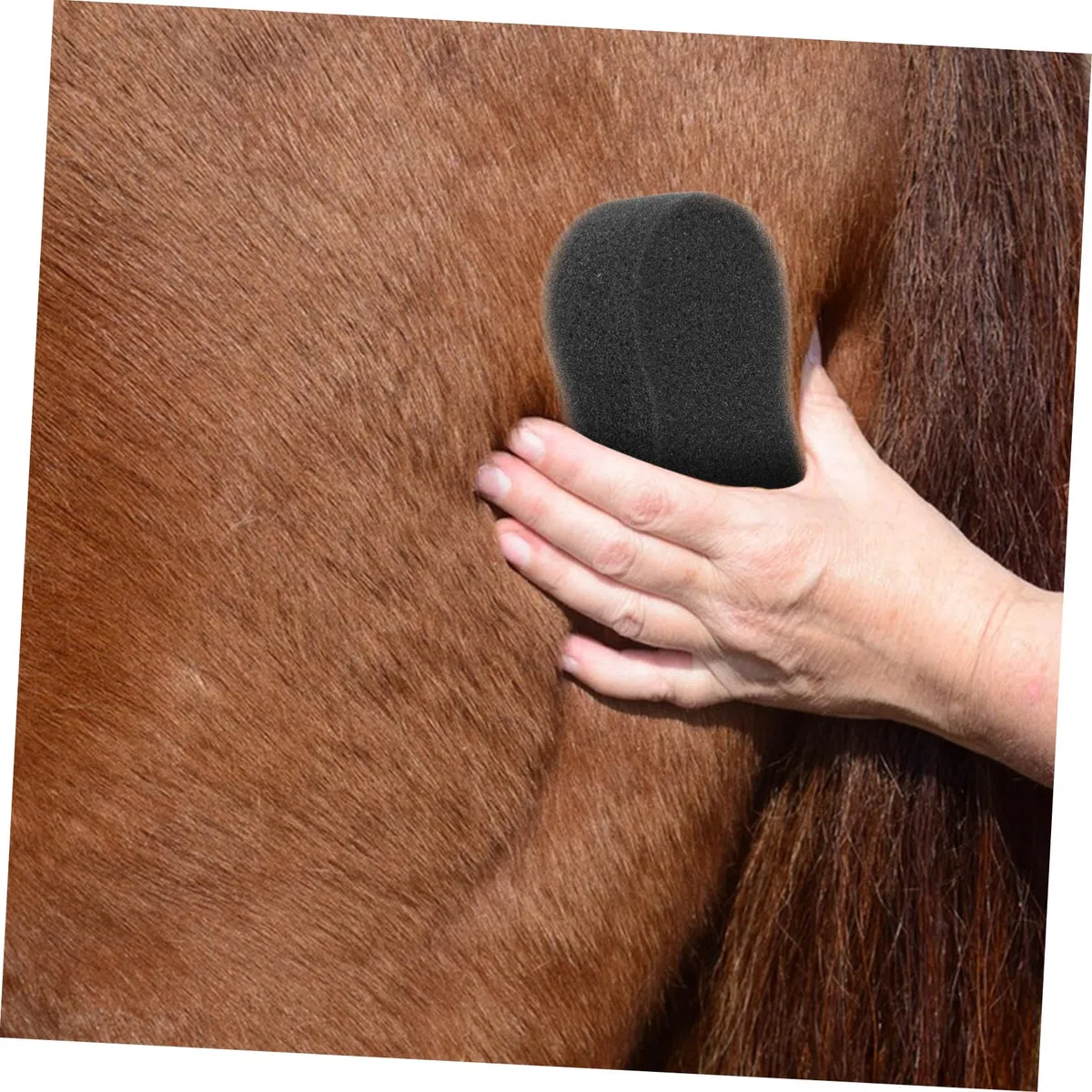 Artibetter Esponjas de Limpieza para Caballos Grandes Suaves Absorbentes 20x11 Cm para Baño y Aseo Diario de Caballos Kit de Cuidado Equino