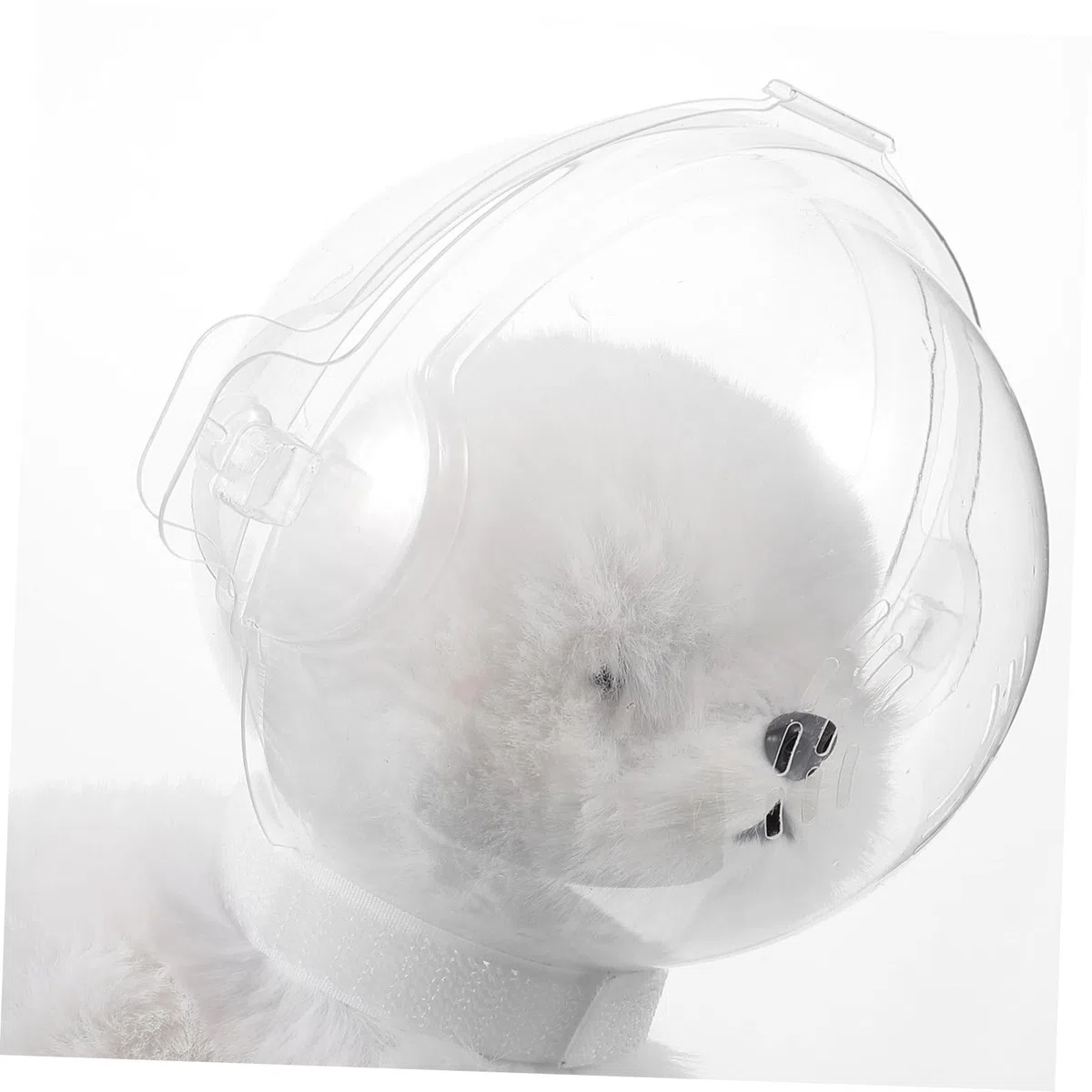 VANZACK 3piezas De para Gatos Capucha Transparente Antimordidas Protección Postoperatoria para y Cuidado Cómodo y para Grooming y Baño