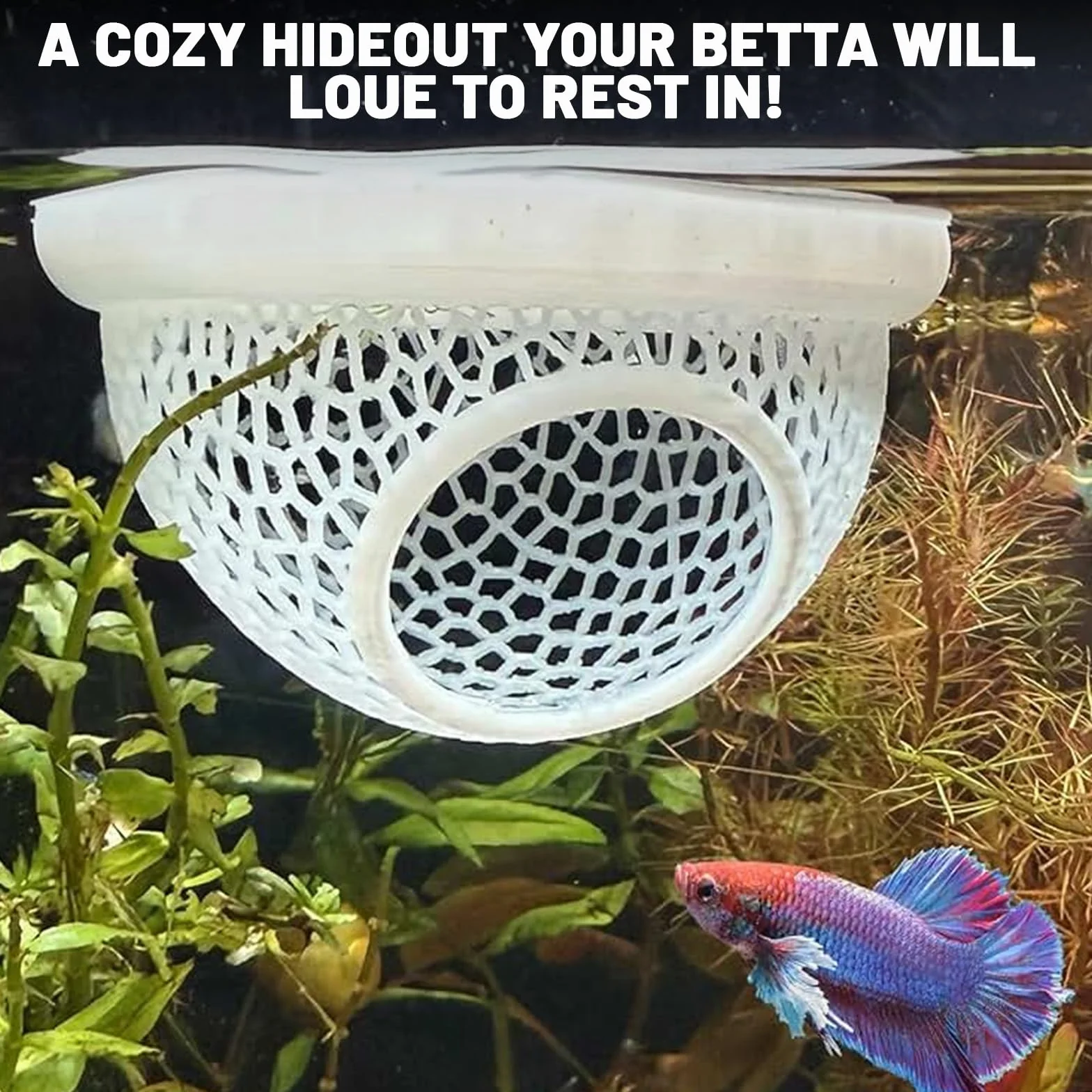 Pieles flotantes de peces Betta para acuario, adecuadas para luchar contra peces, camarones y peces pequeños, hamaca multifuncional, accesorios decorativos para esconder acuarios (blanco)